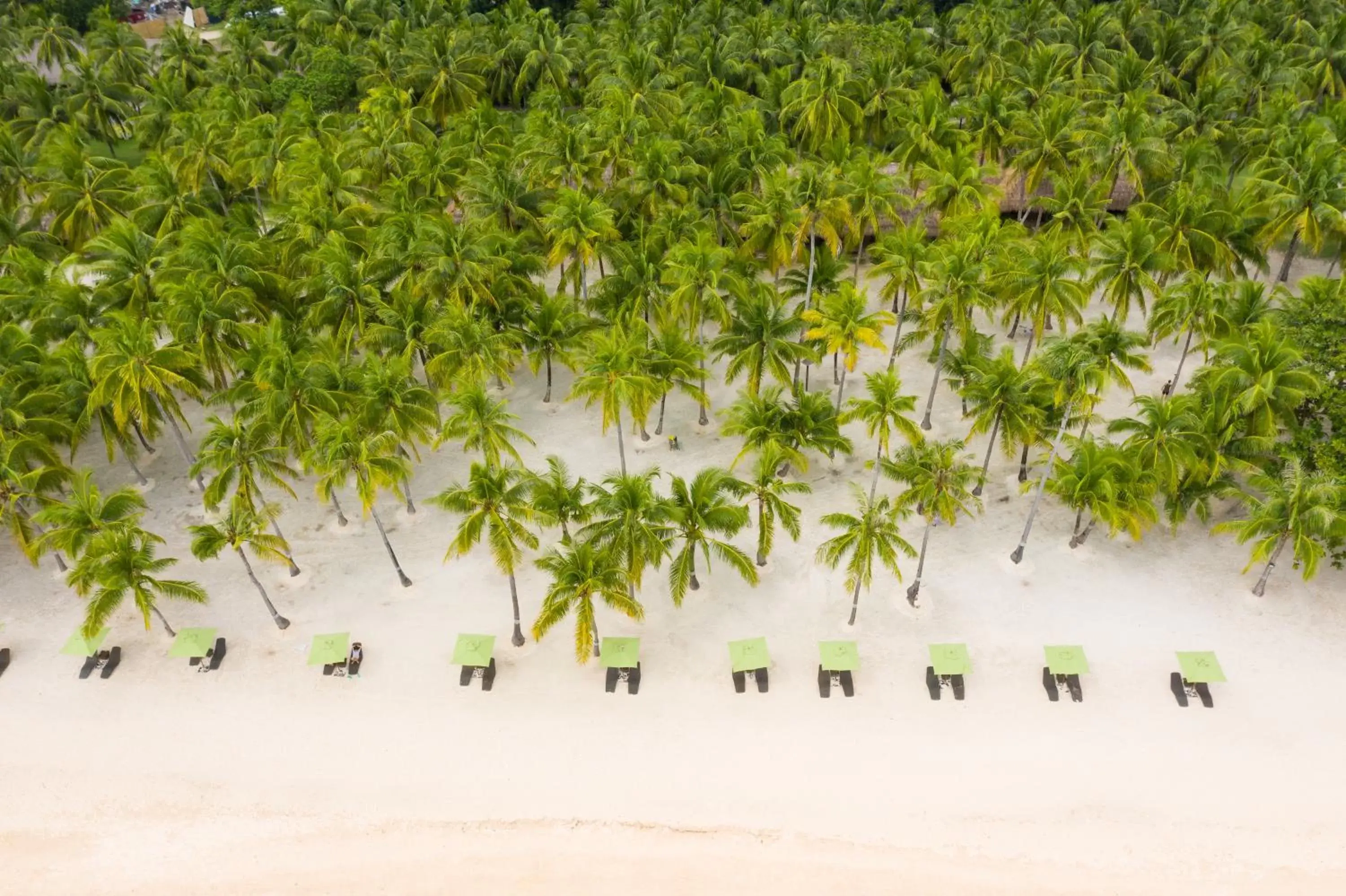 Property building, Bird's-eye View in South Palms Resort Panglao