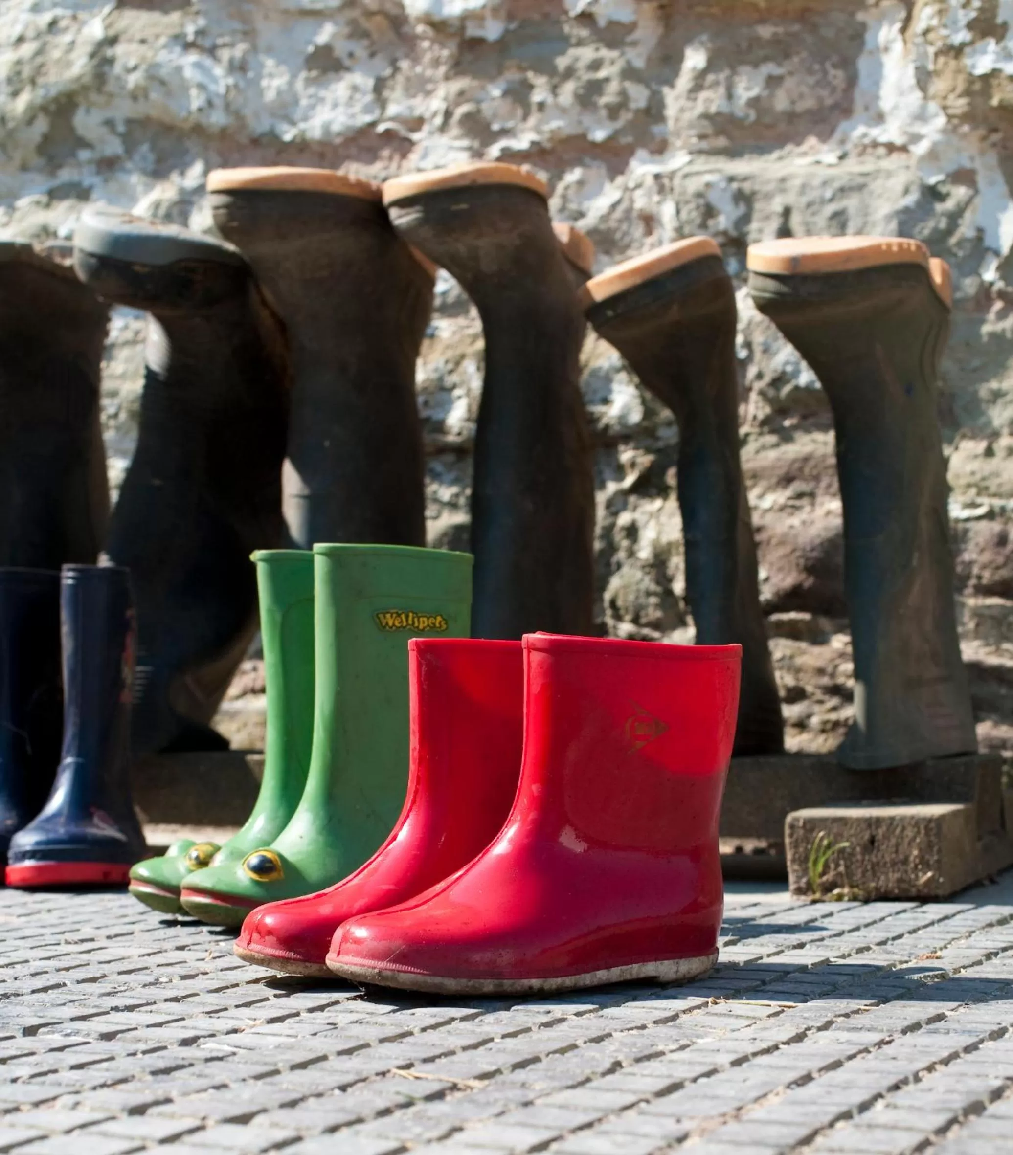 Children play ground in Broome Park Farm B&B