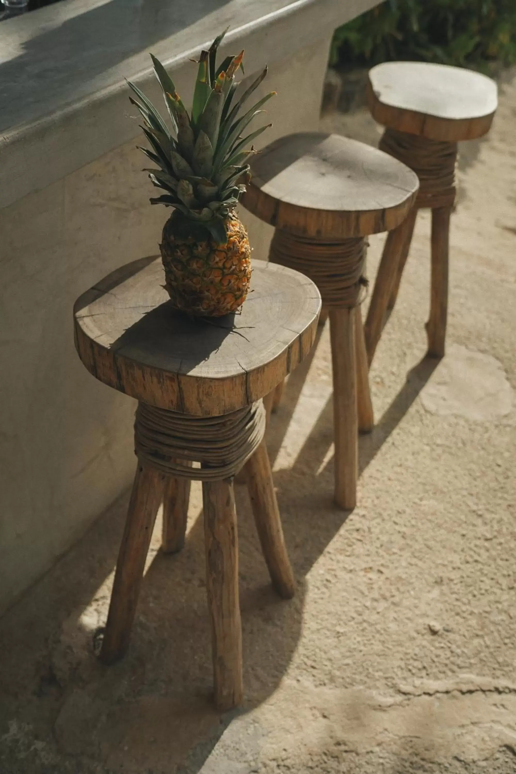 Lounge or bar in NEST Tulum