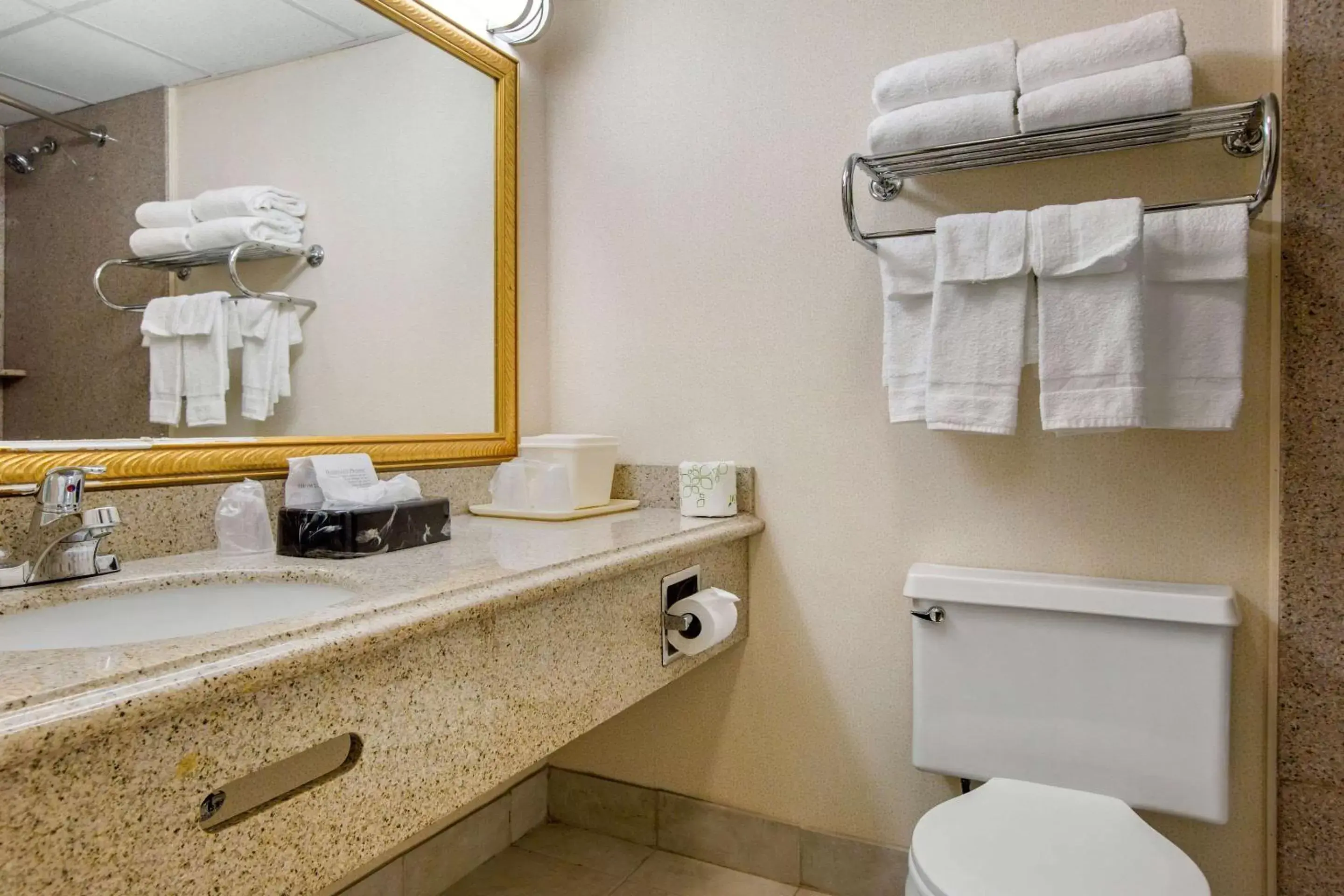 Photo of the whole room, Bathroom in Quality Inn Ledgewood - Dover