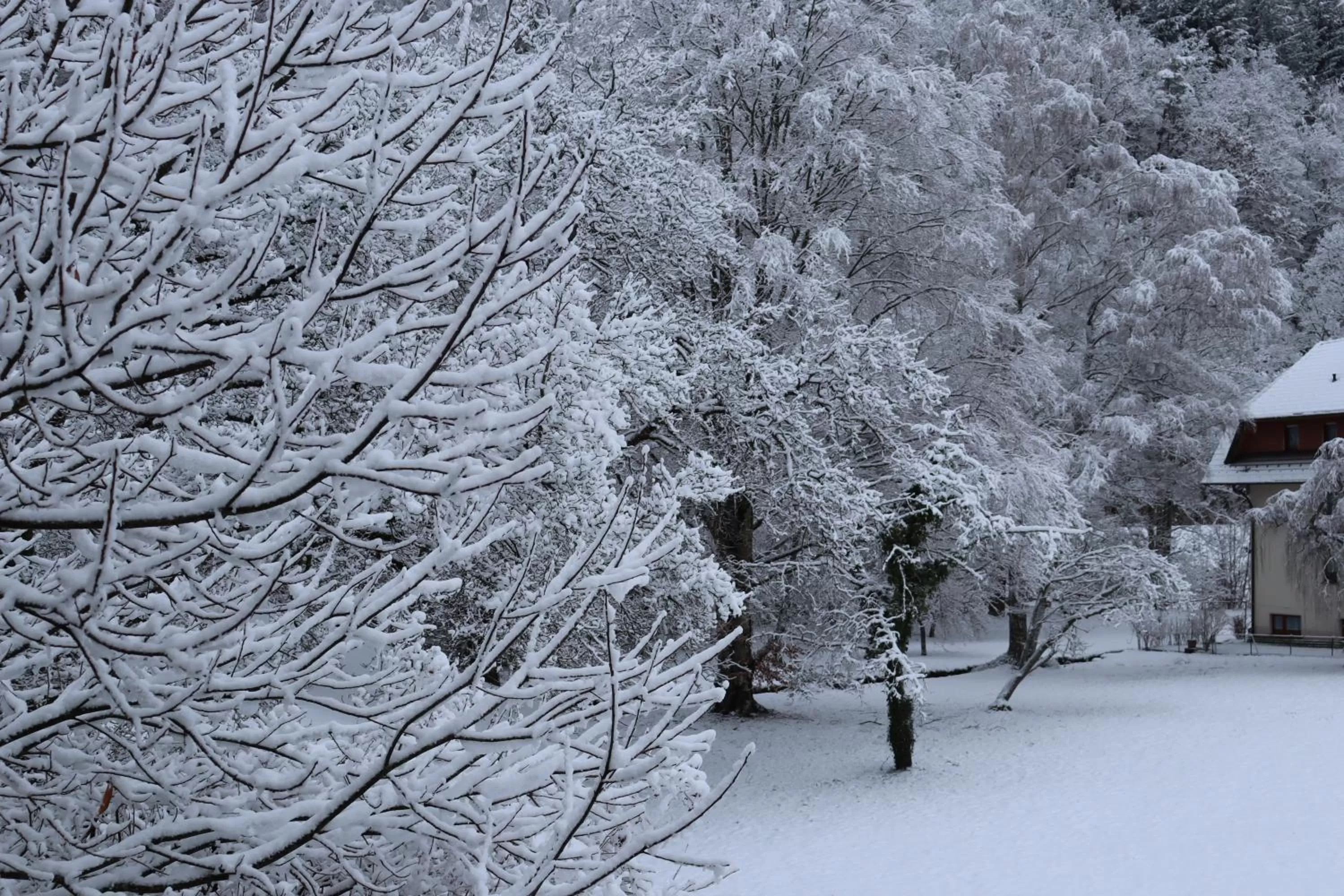 Winter in Haus Hubertus