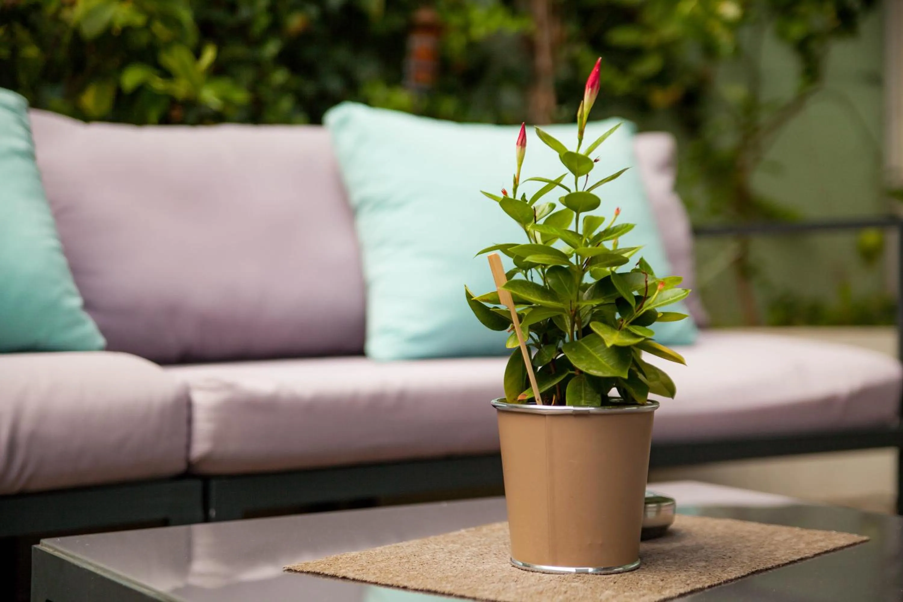 Patio in Hôtel Montaigne & Spa - Cannes Centre