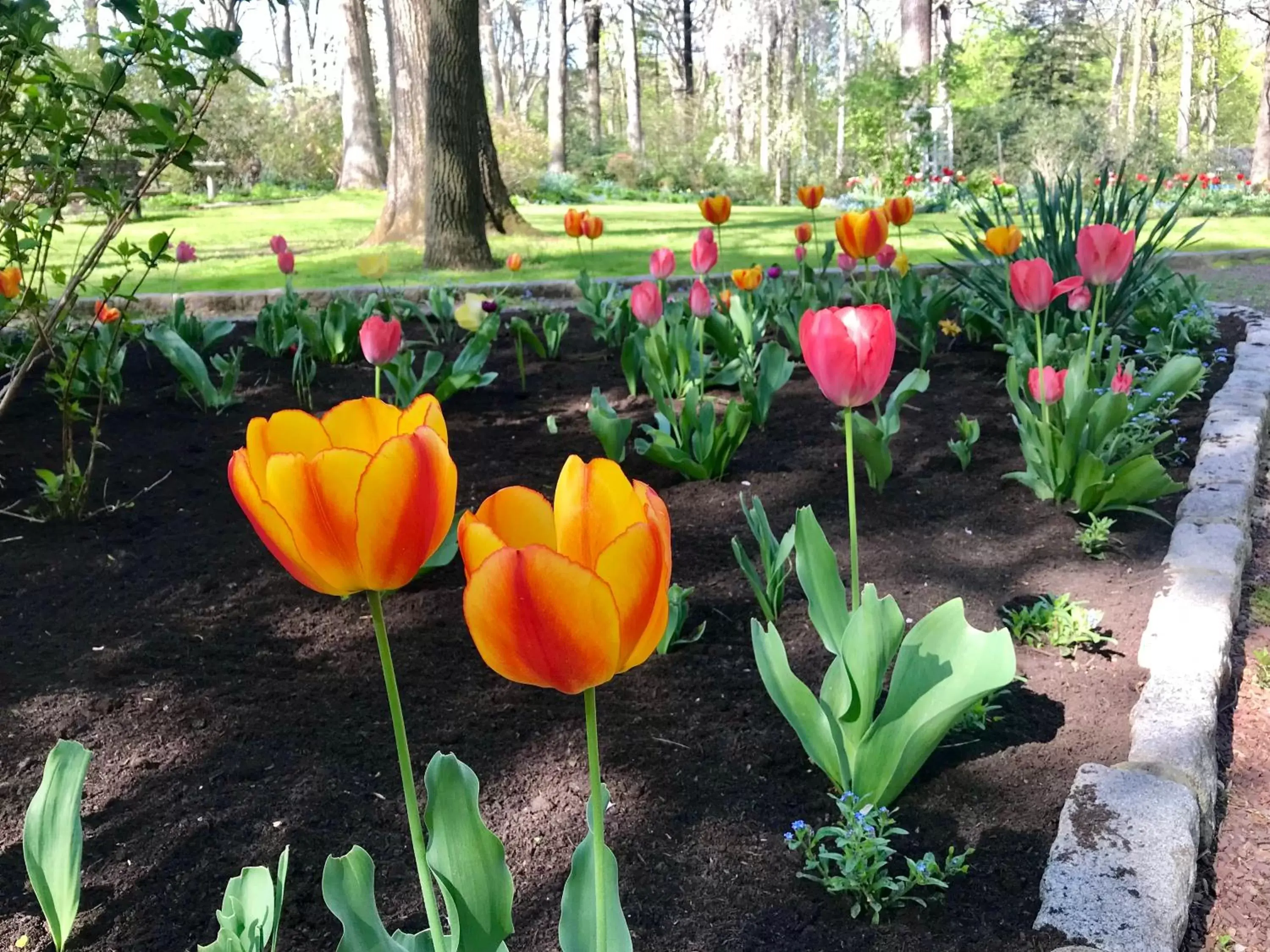 Garden in Gramercy Mansion