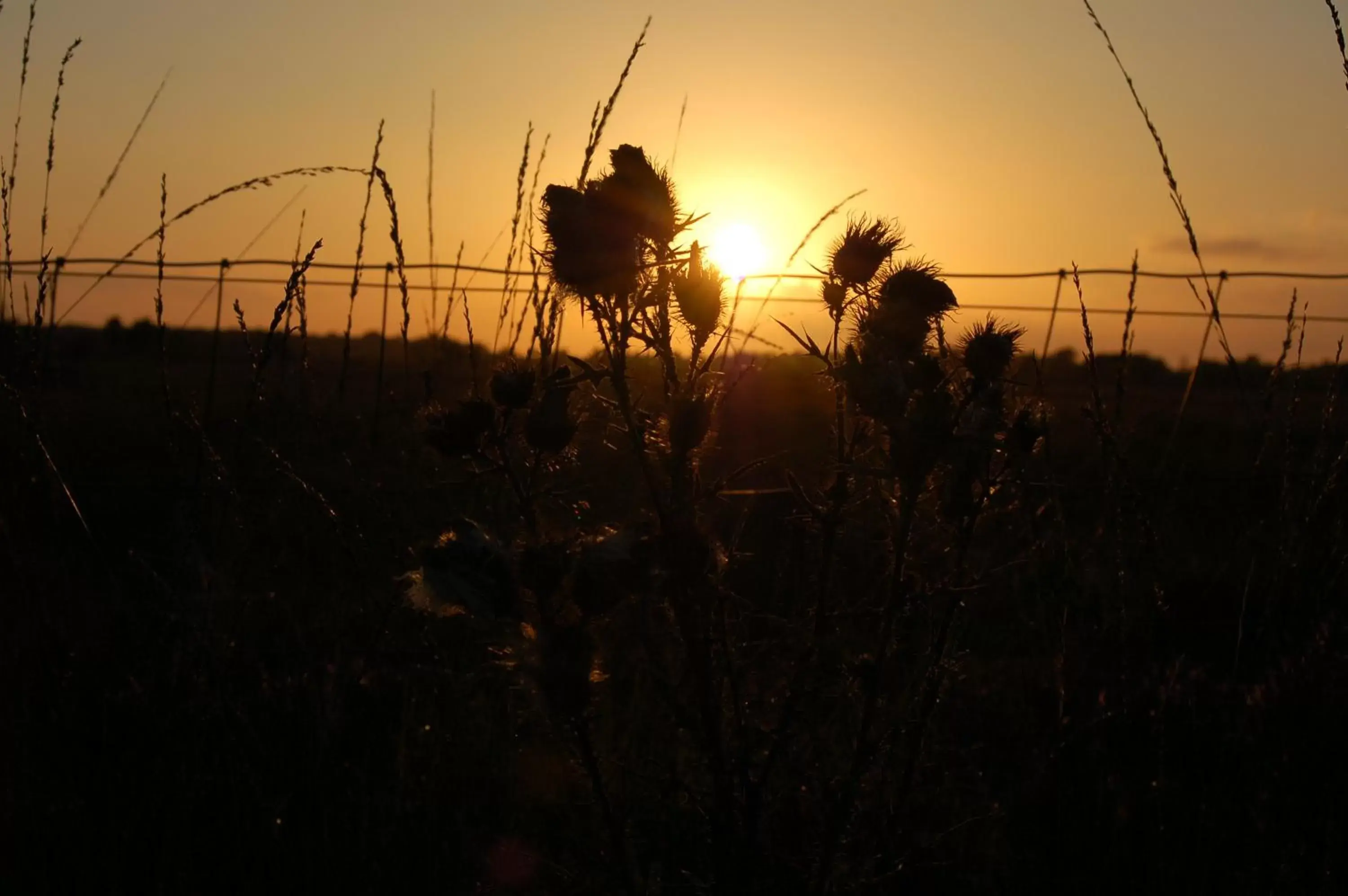 Natural landscape, Sunrise/Sunset in Stichting Veenloopcentrum Weiteveen