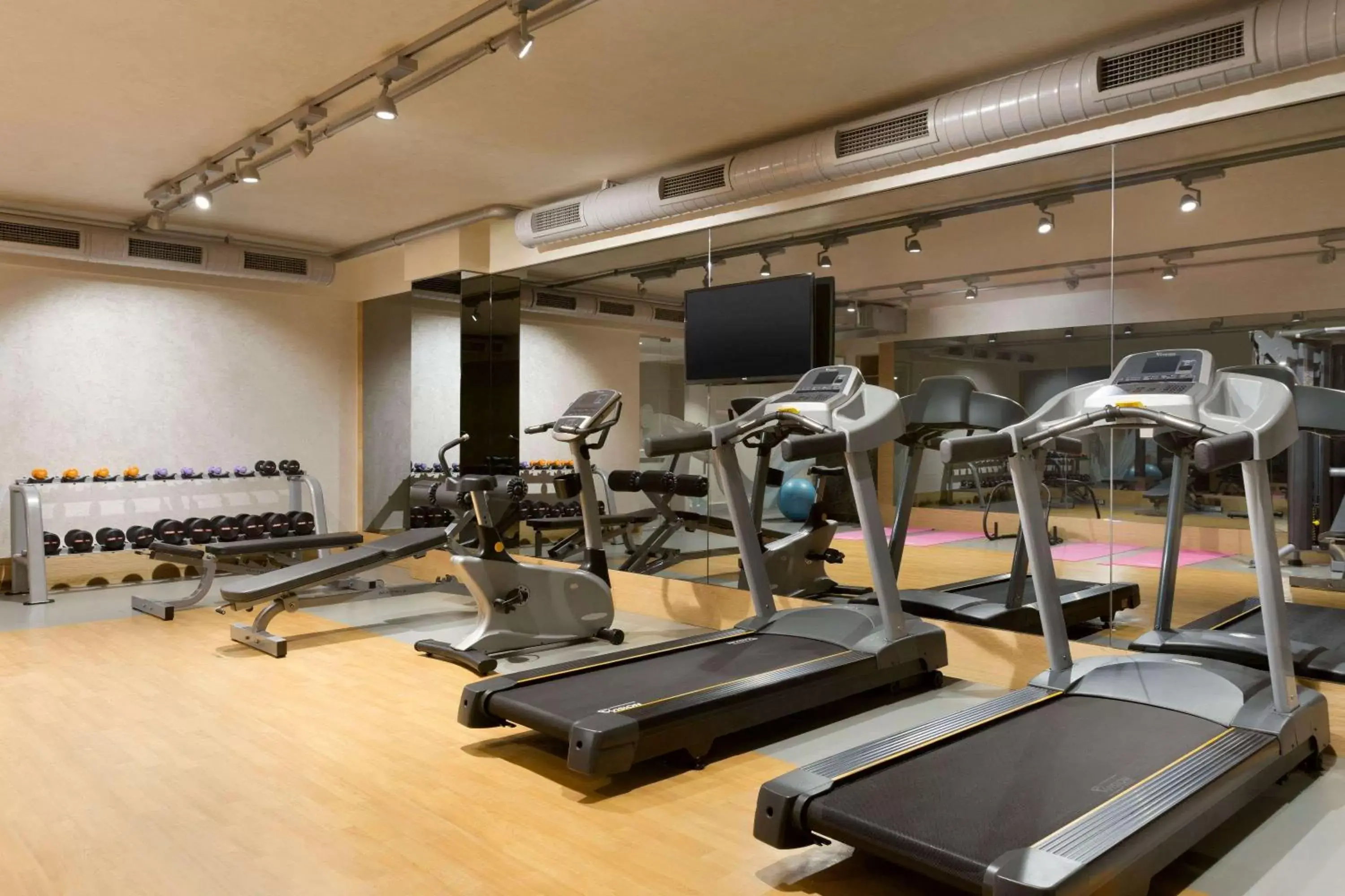 Fitness centre/facilities, Fitness Center/Facilities in Ramada by Wyndham Gemli̇k