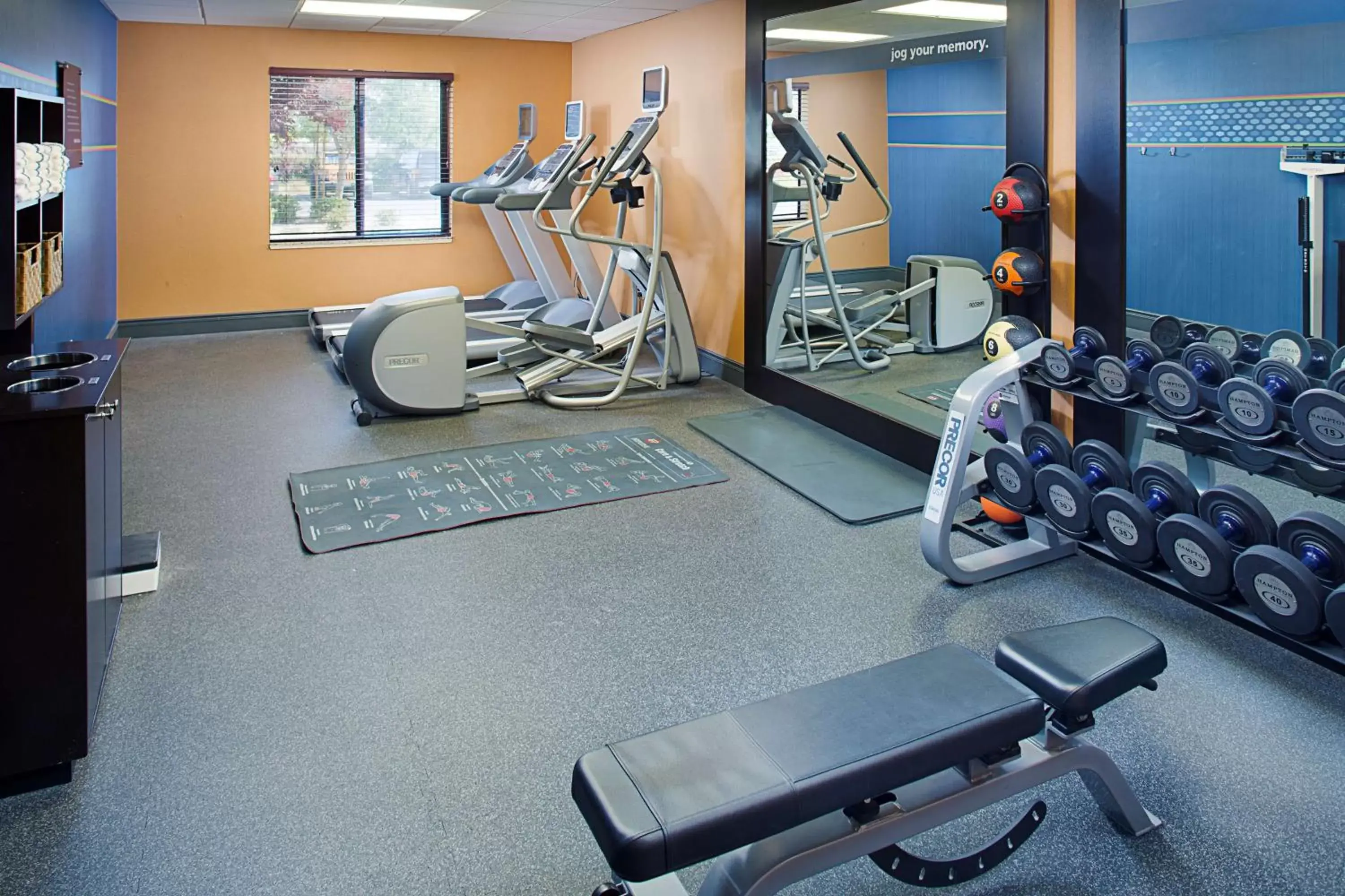 Fitness centre/facilities, Fitness Center/Facilities in Hampton Inn & Suites Lancaster