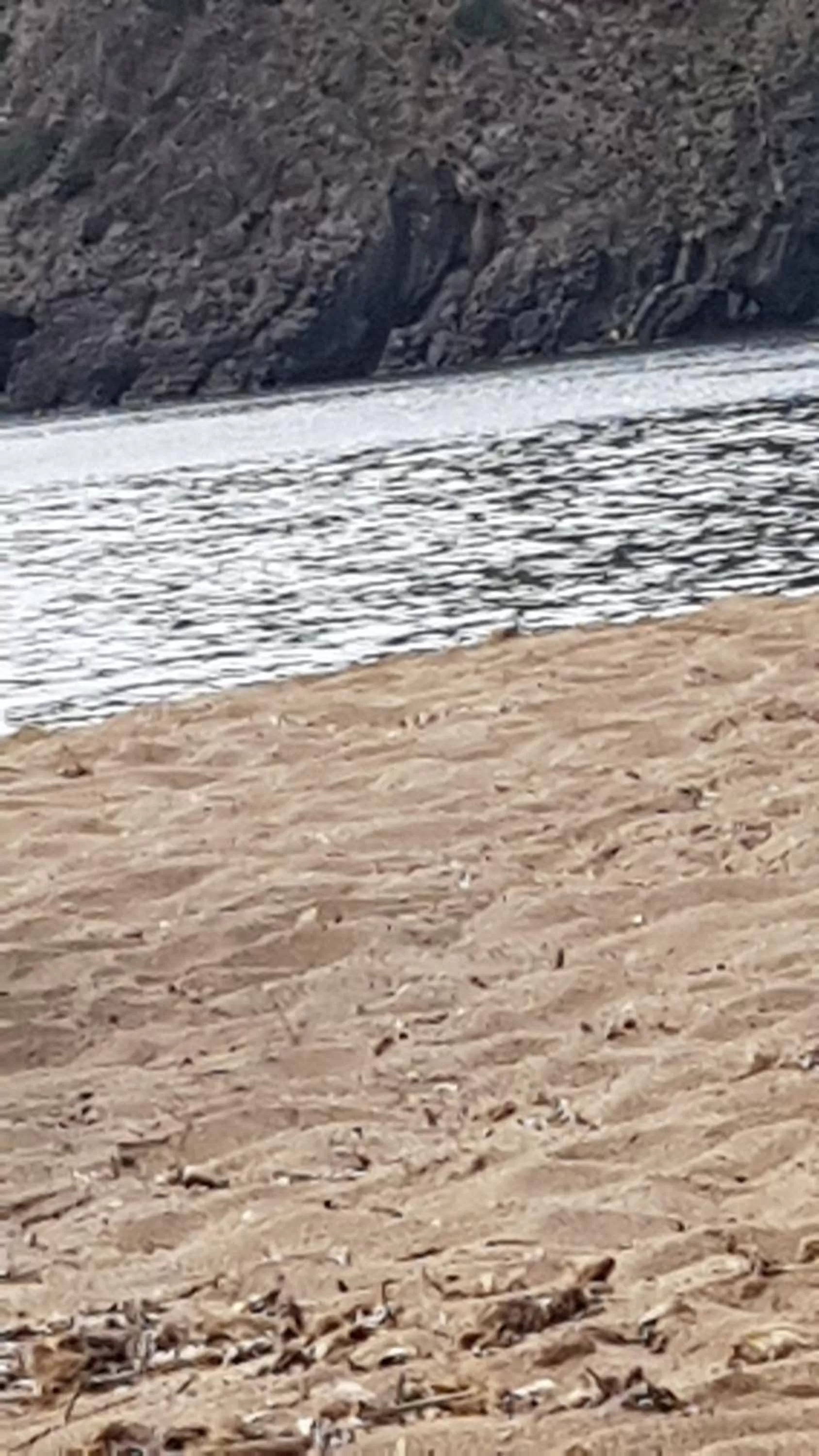 Beach in B&b la Fenice