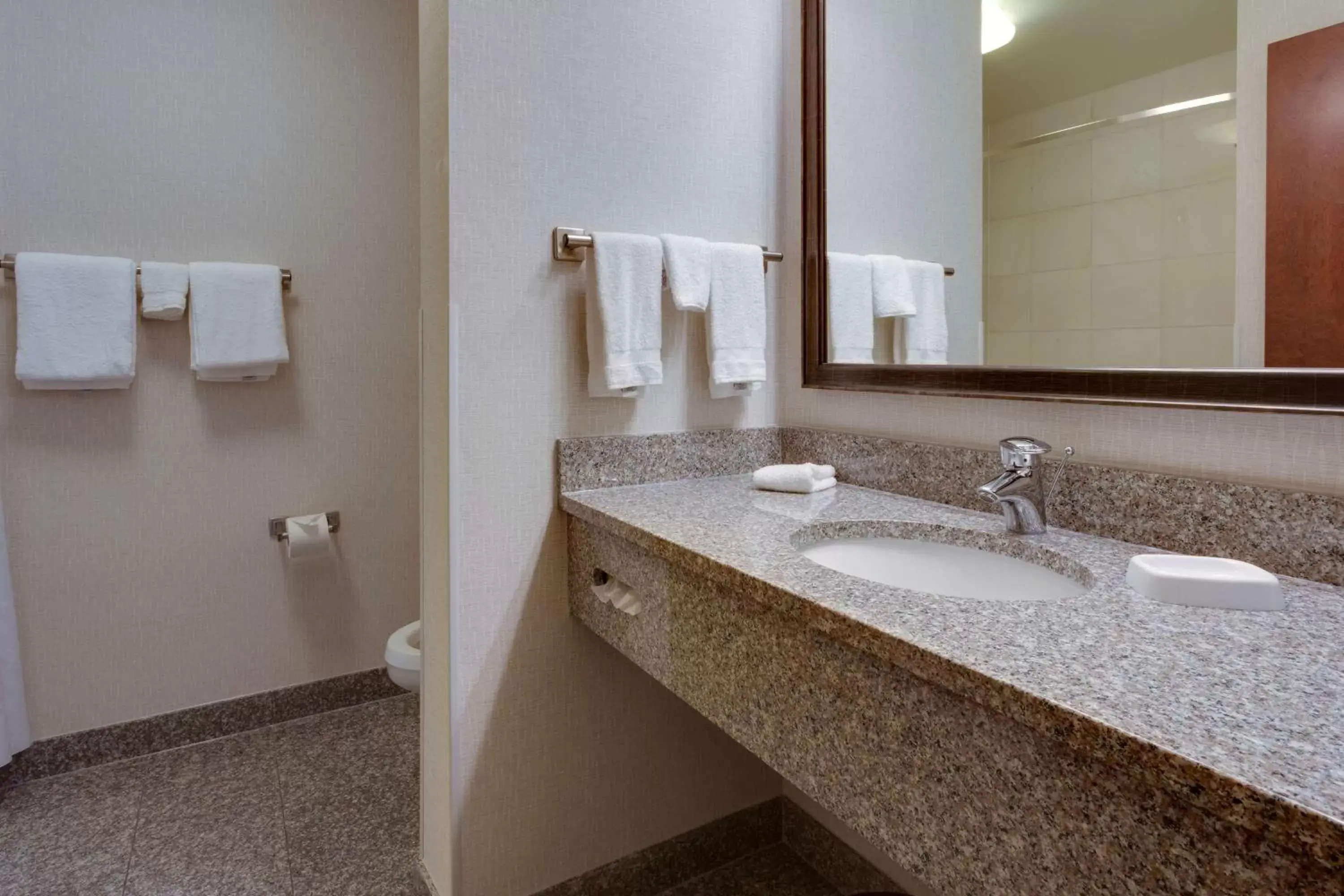 Bathroom in Drury Inn & Suites Baton Rouge