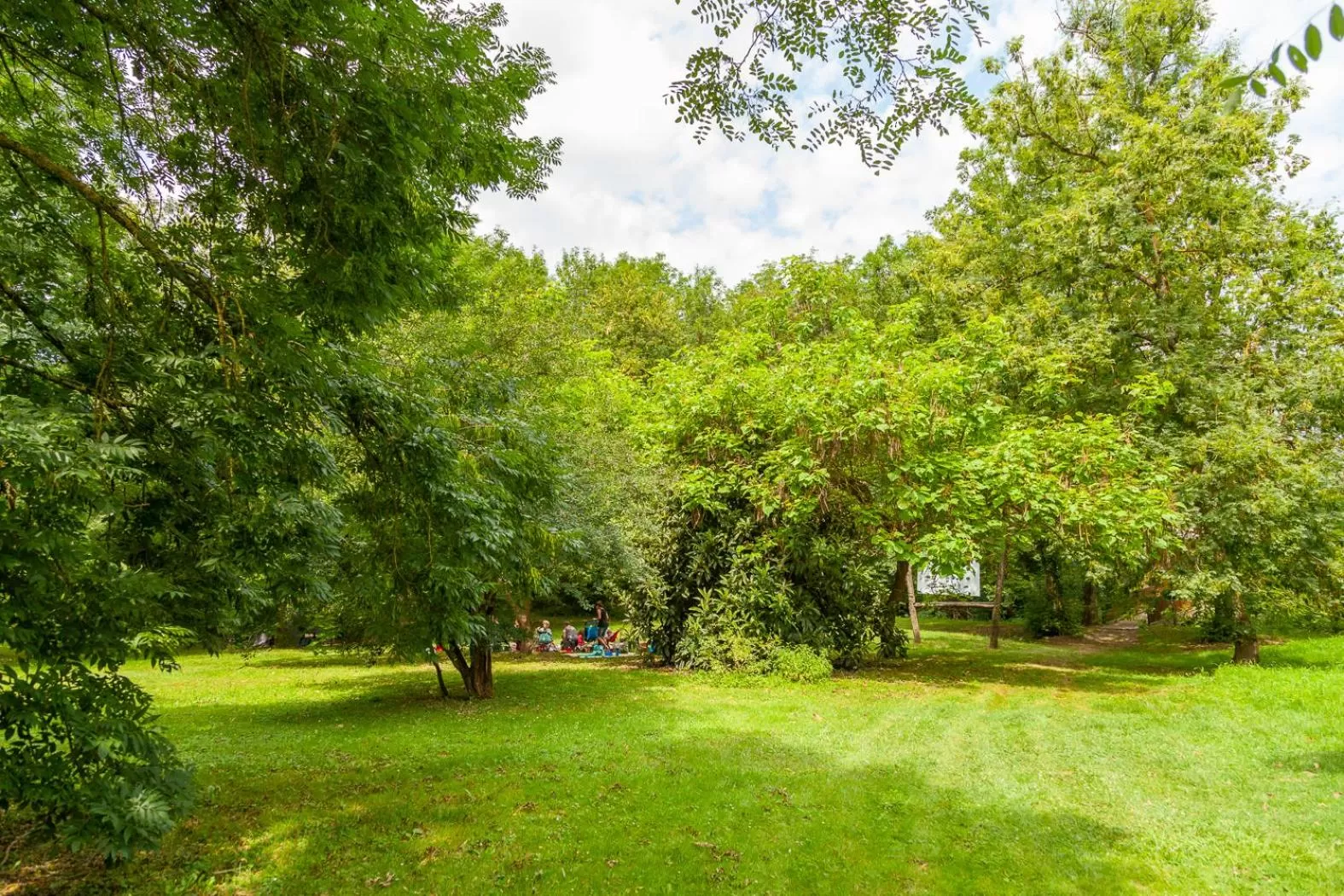 Natural landscape, Garden in Le Moulin