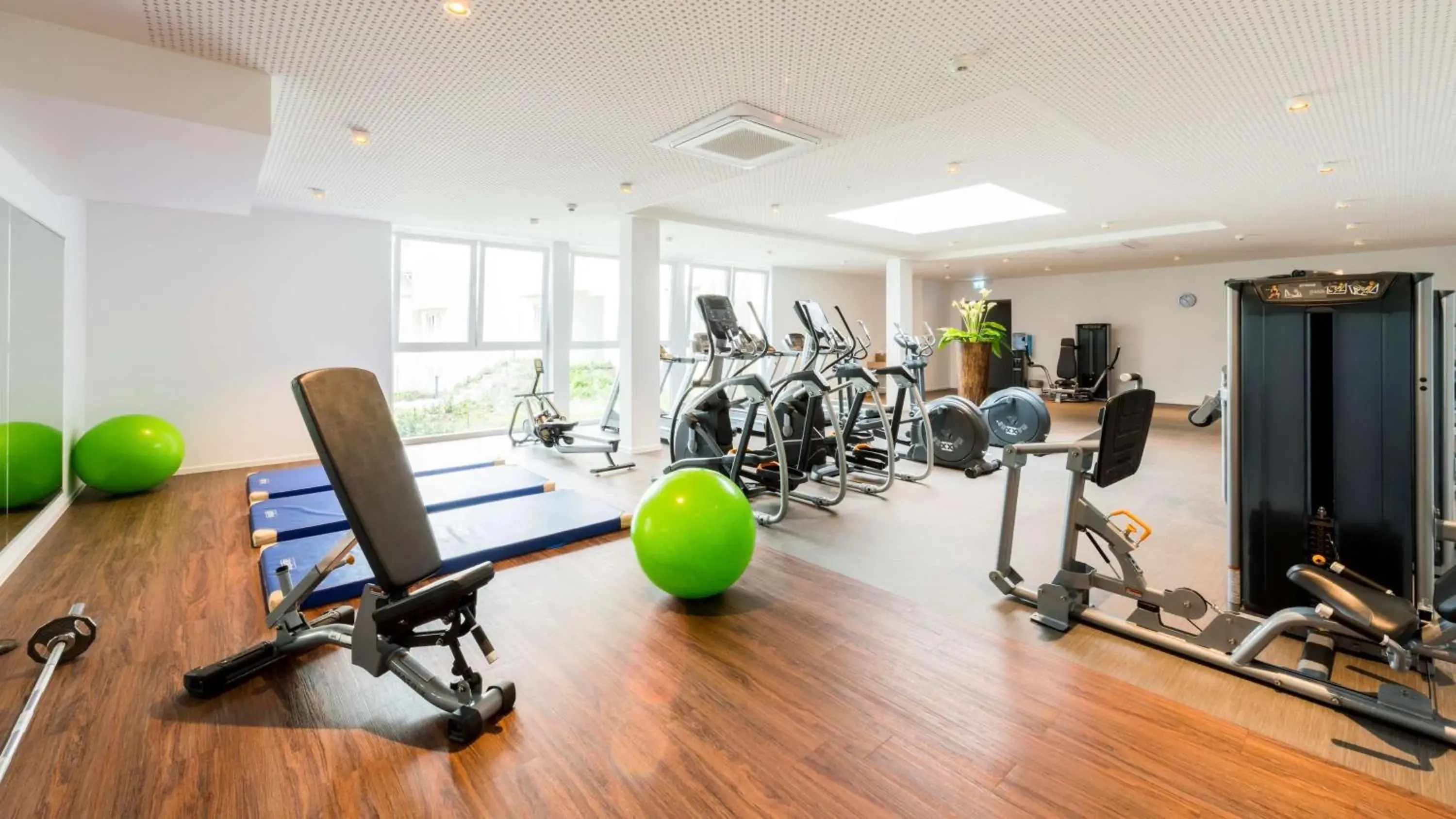 Spa and wellness centre/facilities, Fitness Center/Facilities in Best Western Hotel Mainz