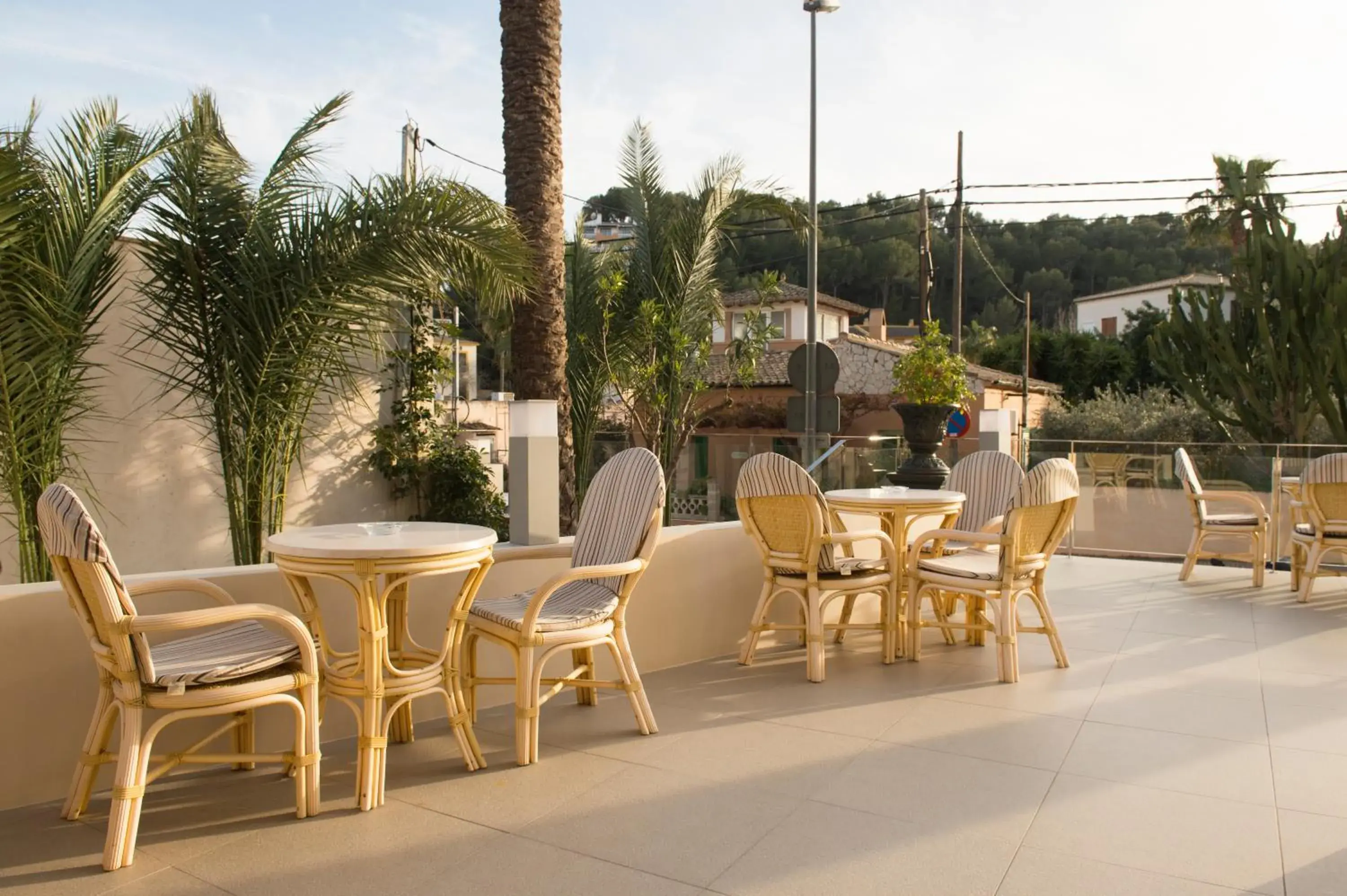 Balcony/Terrace in Hotel Venecia