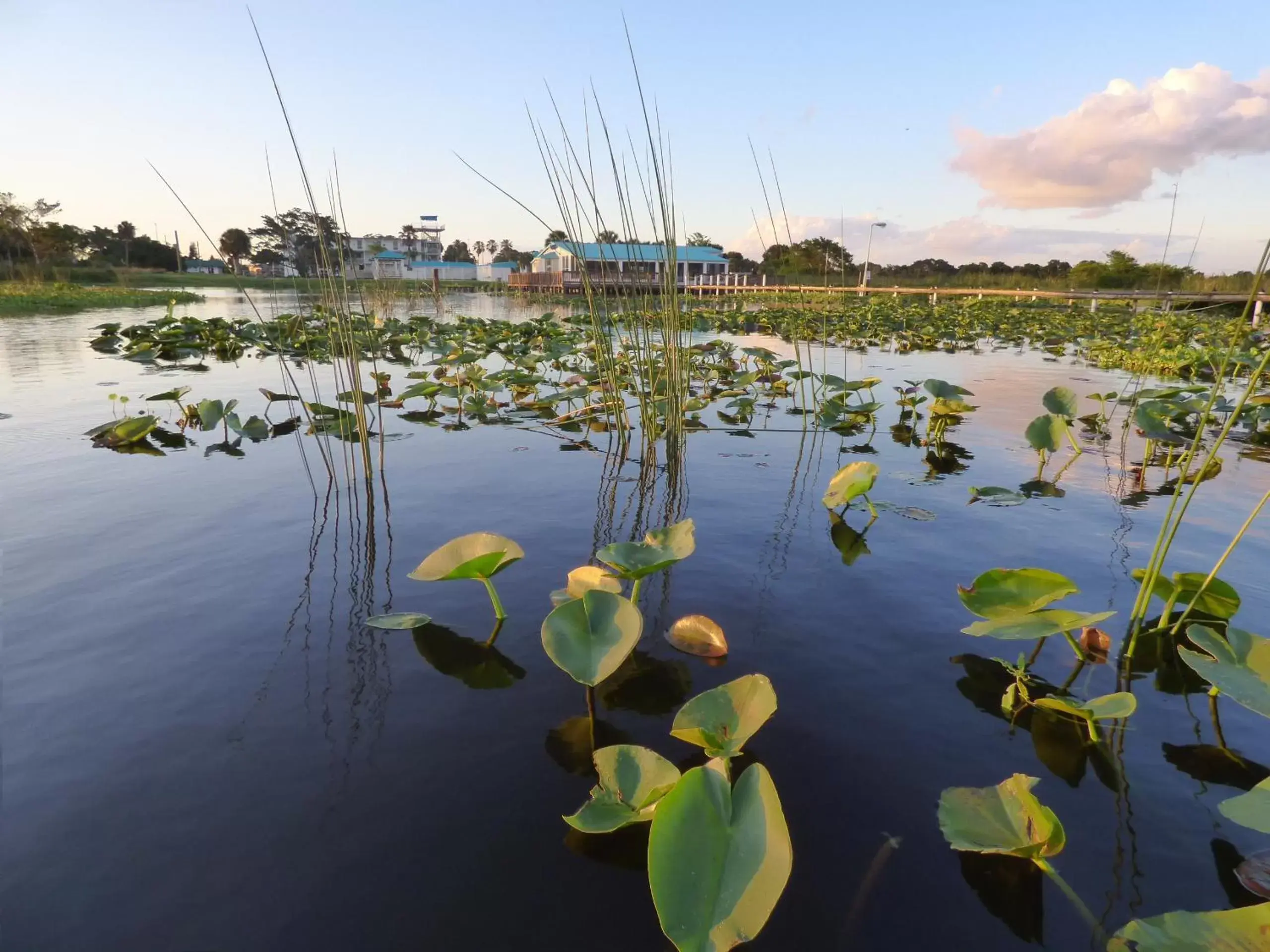 View (from property/room) in Days Inn & Suites by Wyndham Lake Okeechobee