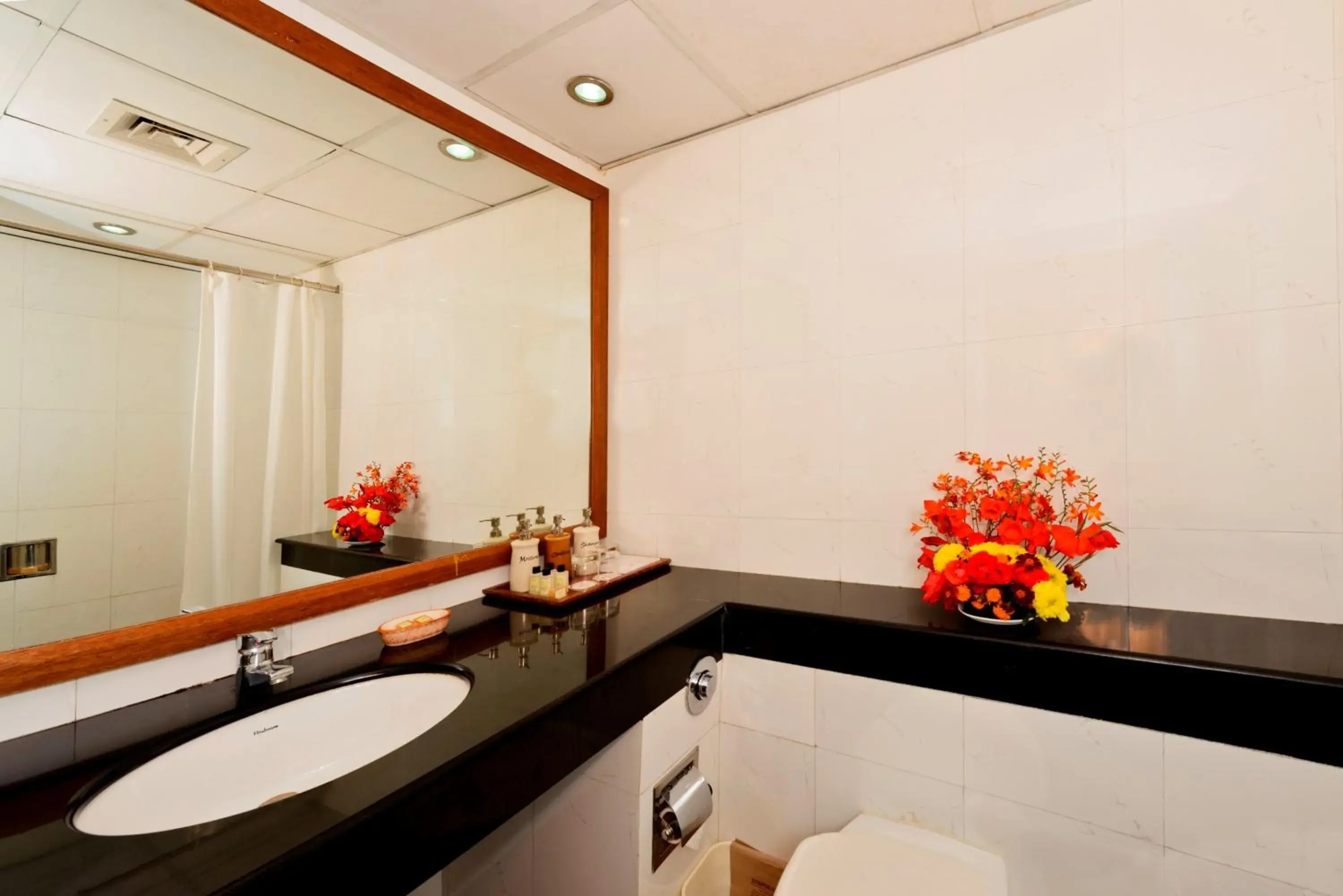 Bathroom in Solang Valley Resort