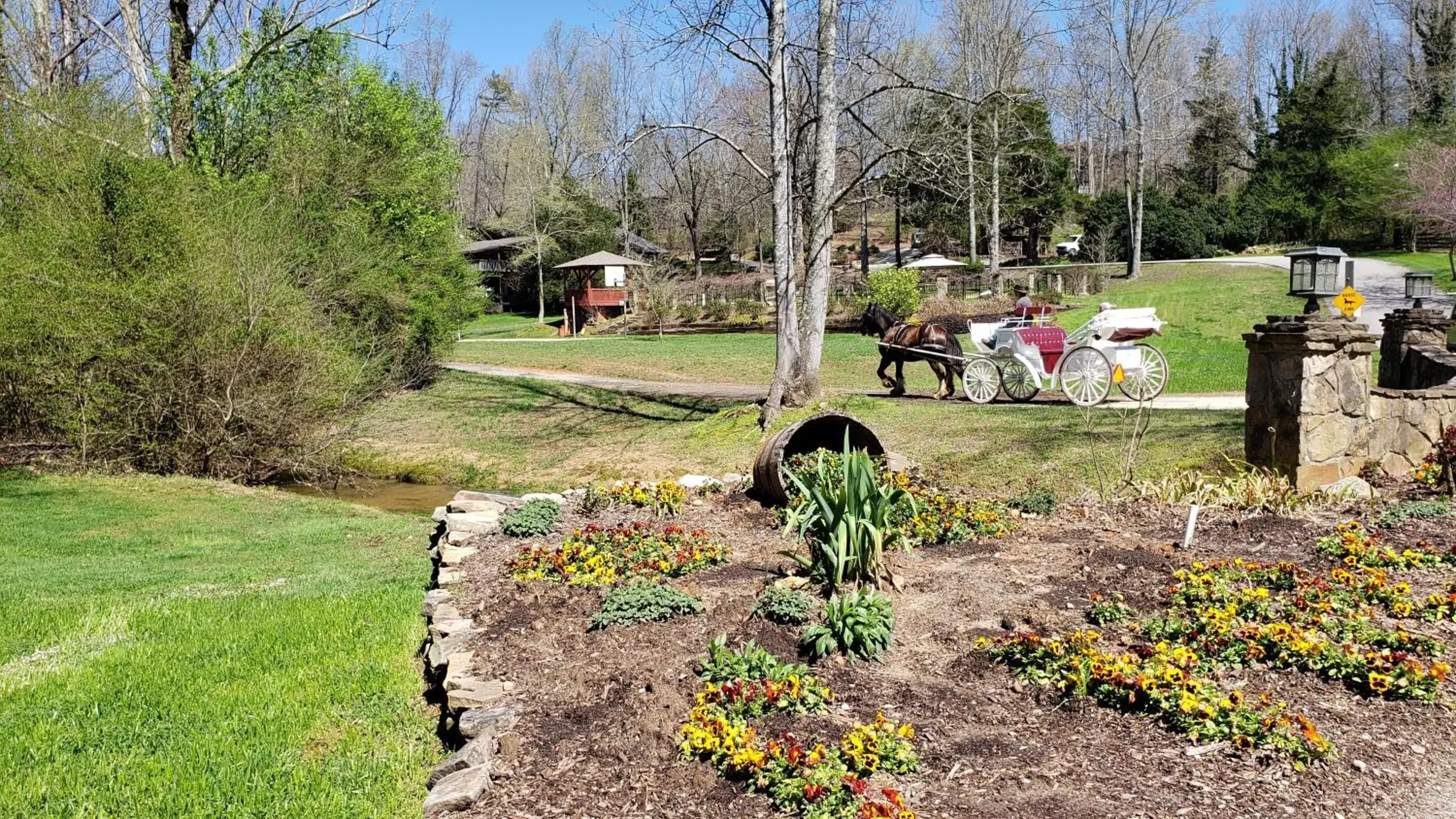 Garden in Forrest Hills Mountain Resort