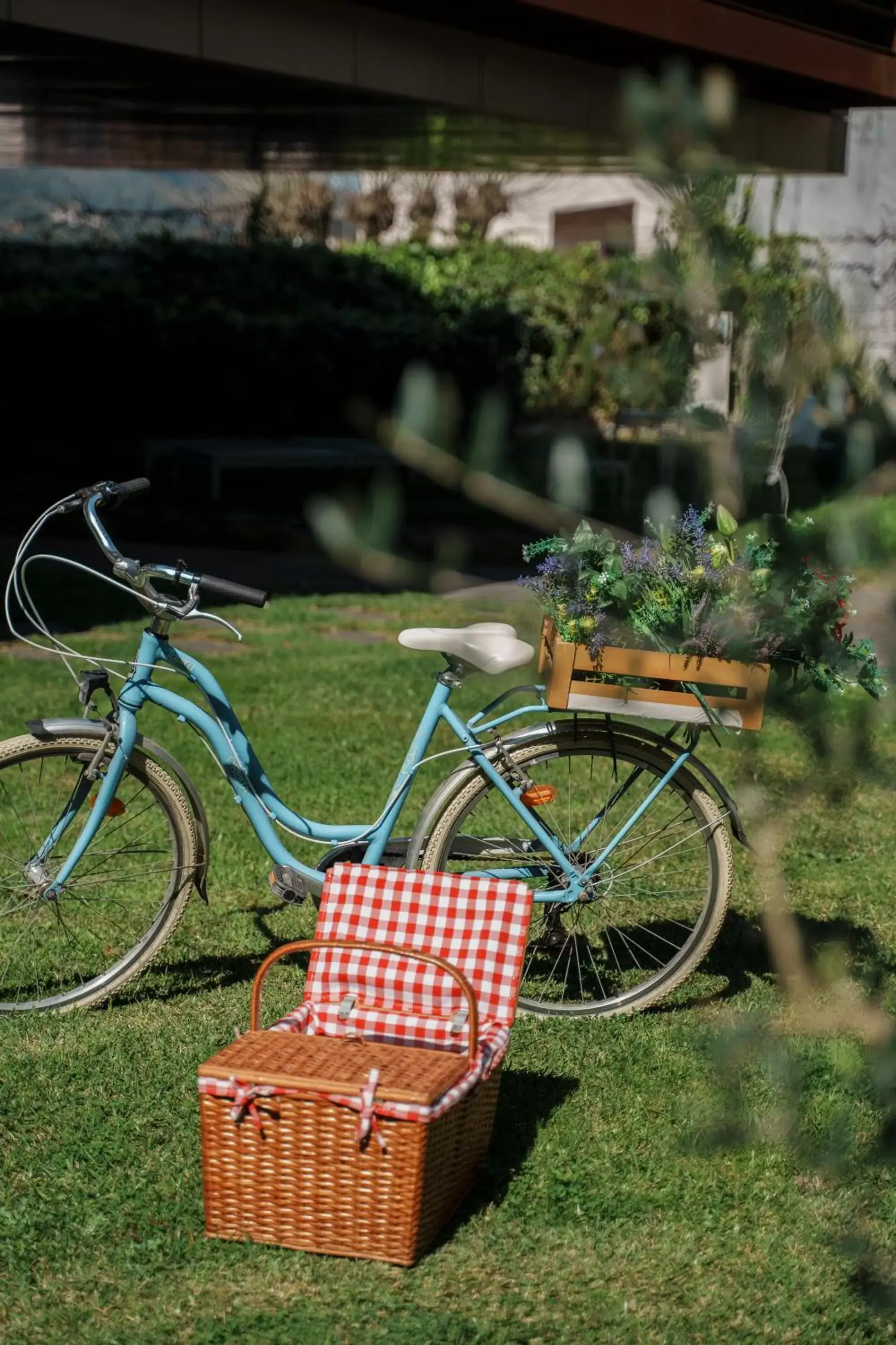 Cycling, Garden in Design & Wine Hotel