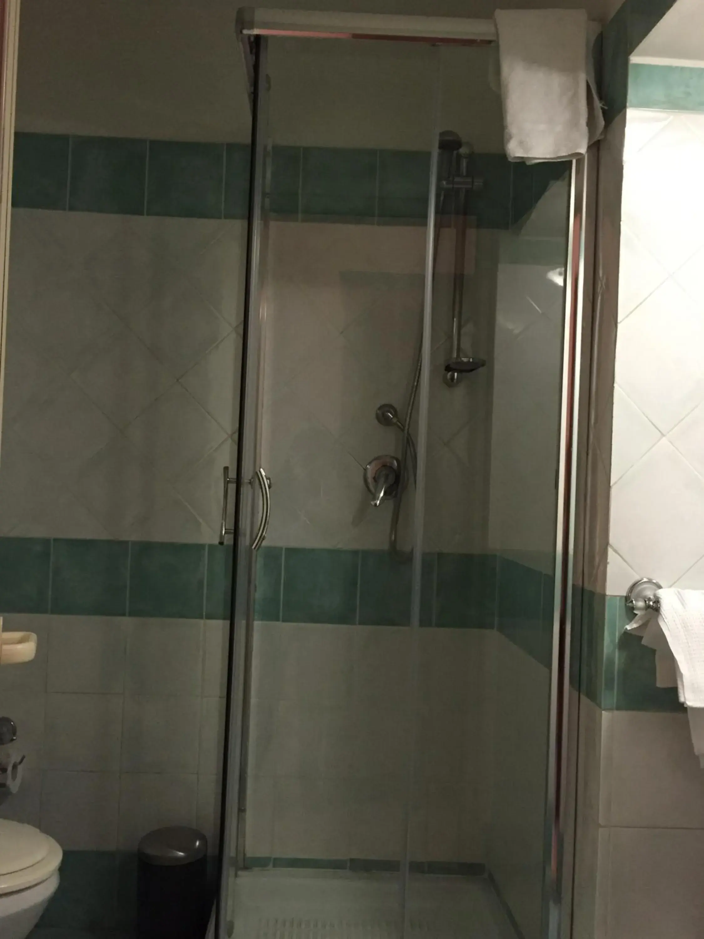 Shower, Bathroom in Hotel Centrale Europa