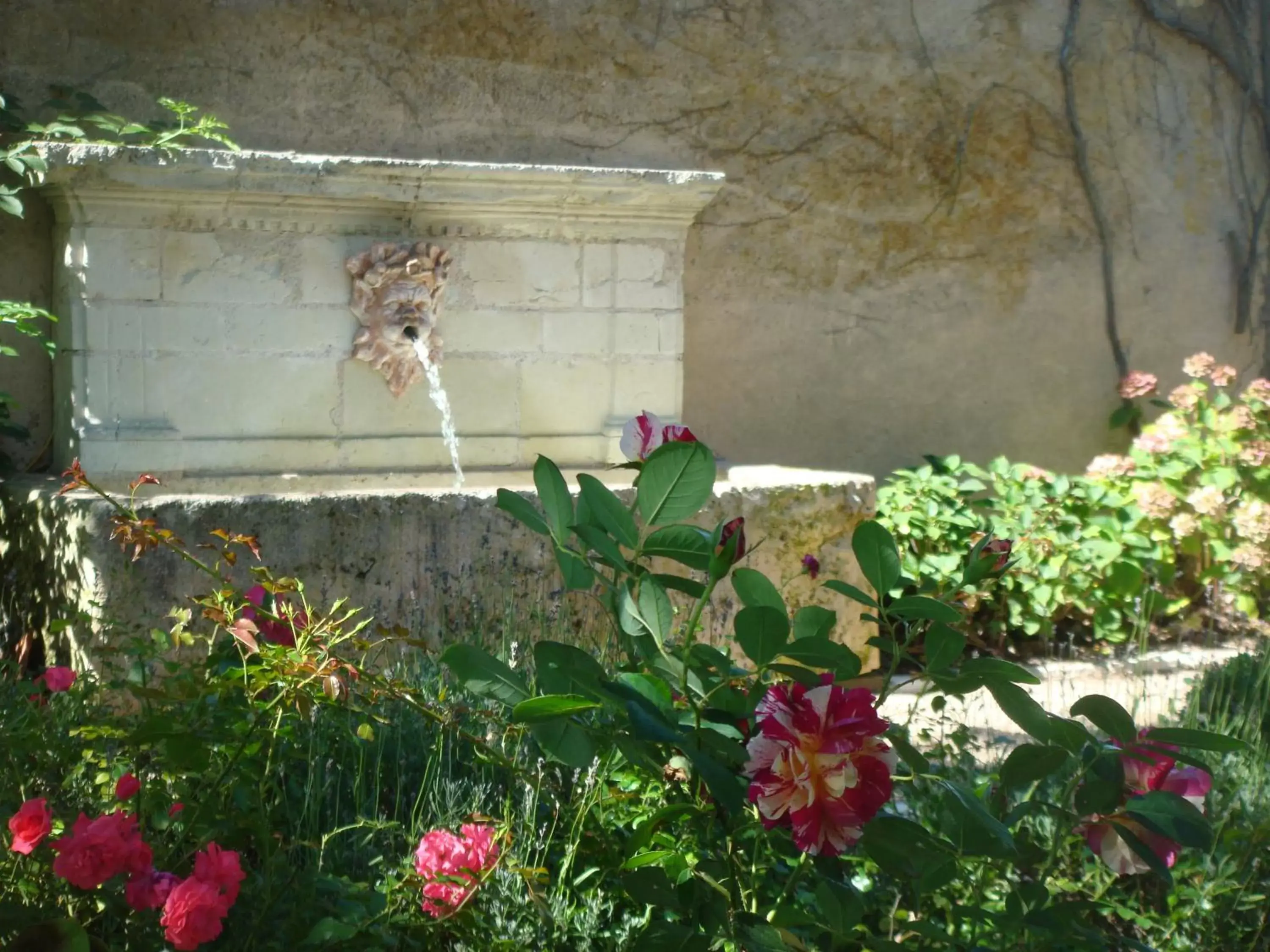 Garden view in Le Bout Du Monde