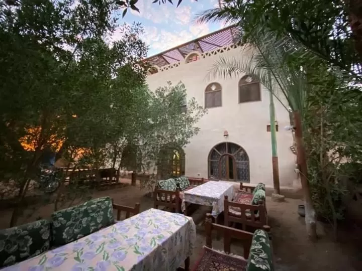 Day in Nour El Balad