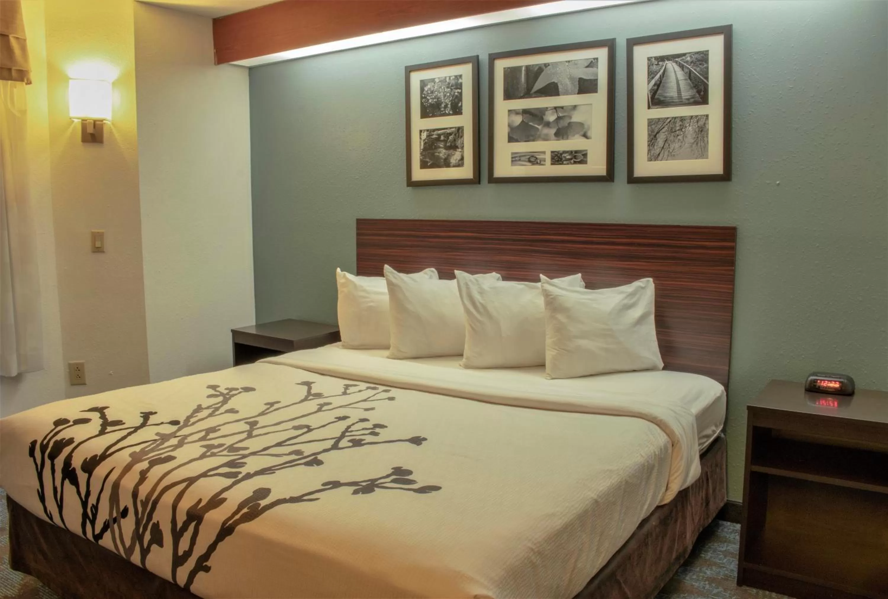 Bedroom, Bed in Sleep Inn Lake Wright - Norfolk Airport