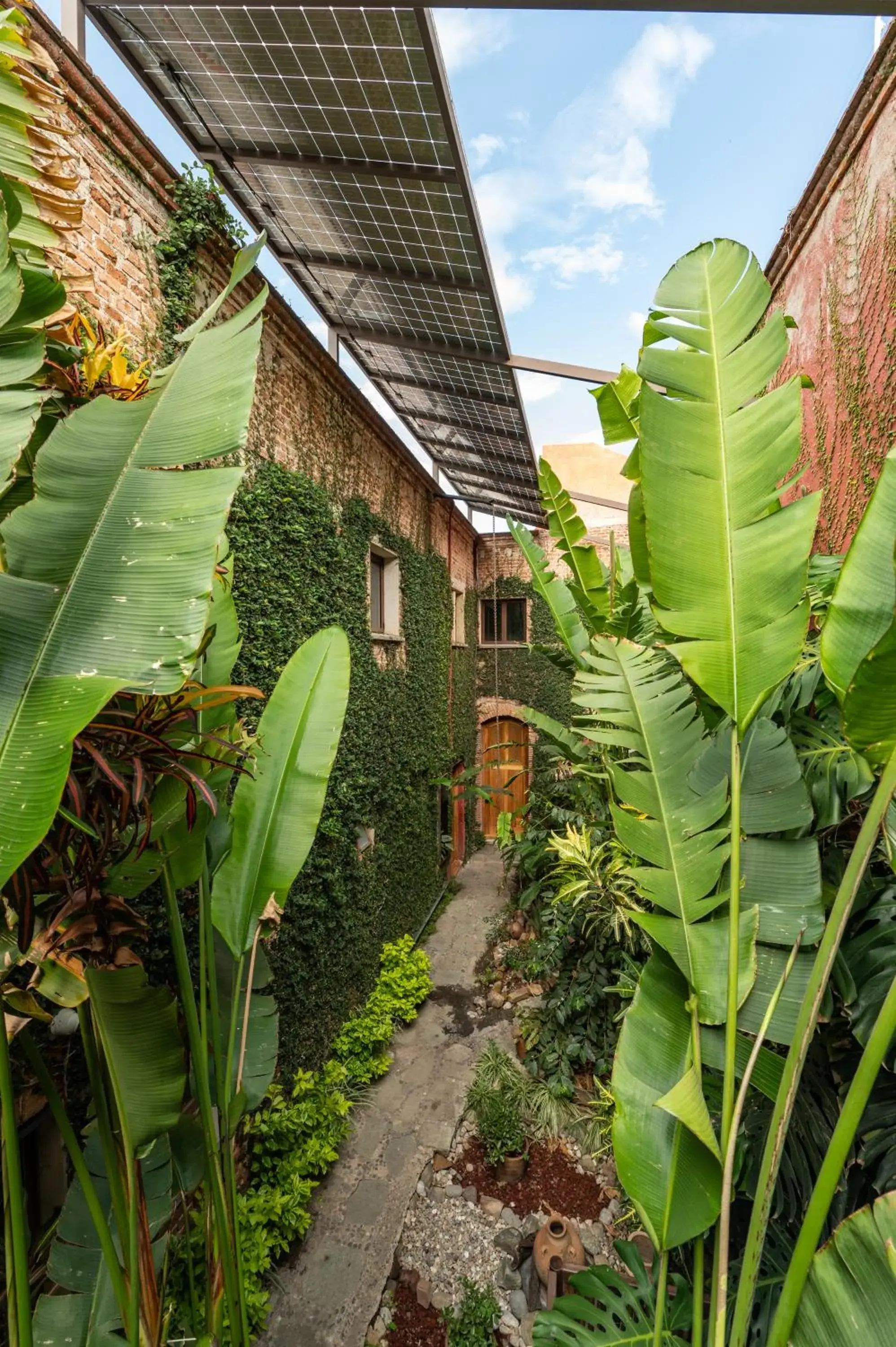 Garden, Property Building in Casa De Sierra Azul