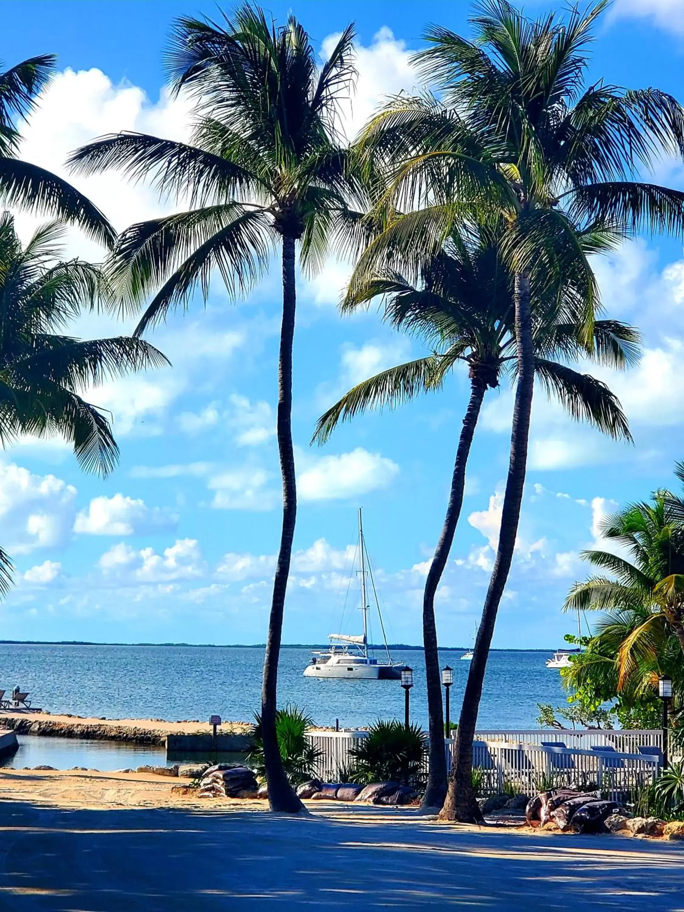 Beach in Bayside Inn Key Largo