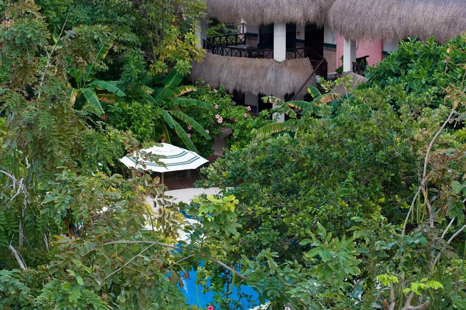 Bird's eye view in Cabanas Maria Del Mar