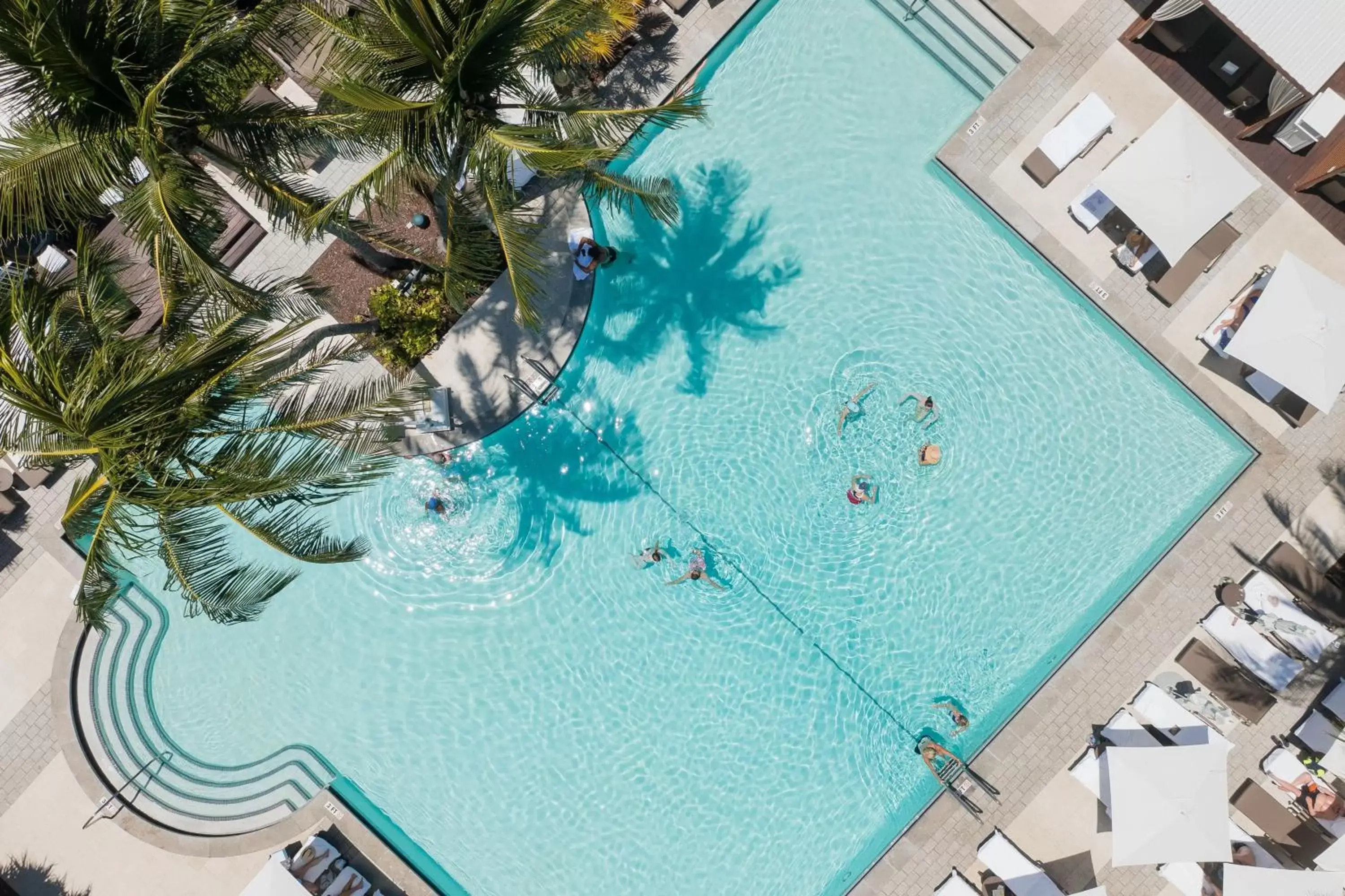 Swimming pool, Pool View in The Ritz Carlton Key Biscayne, Miami