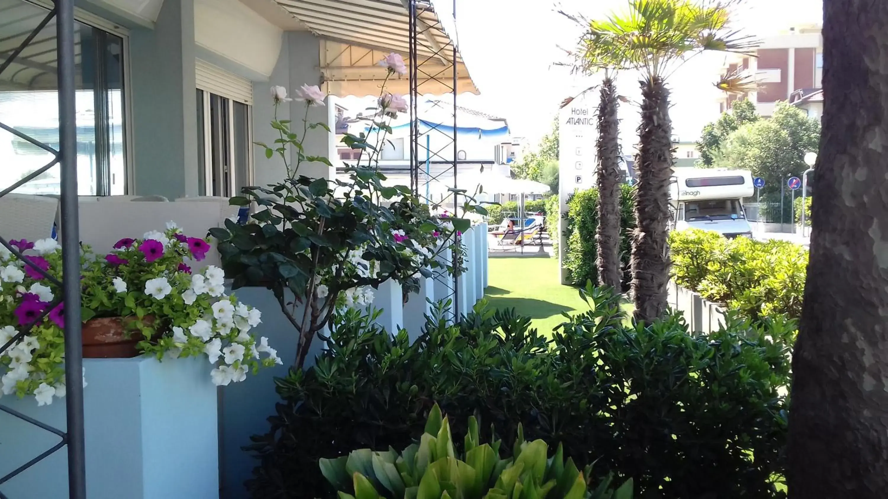 Garden view in Hotel Atlantic