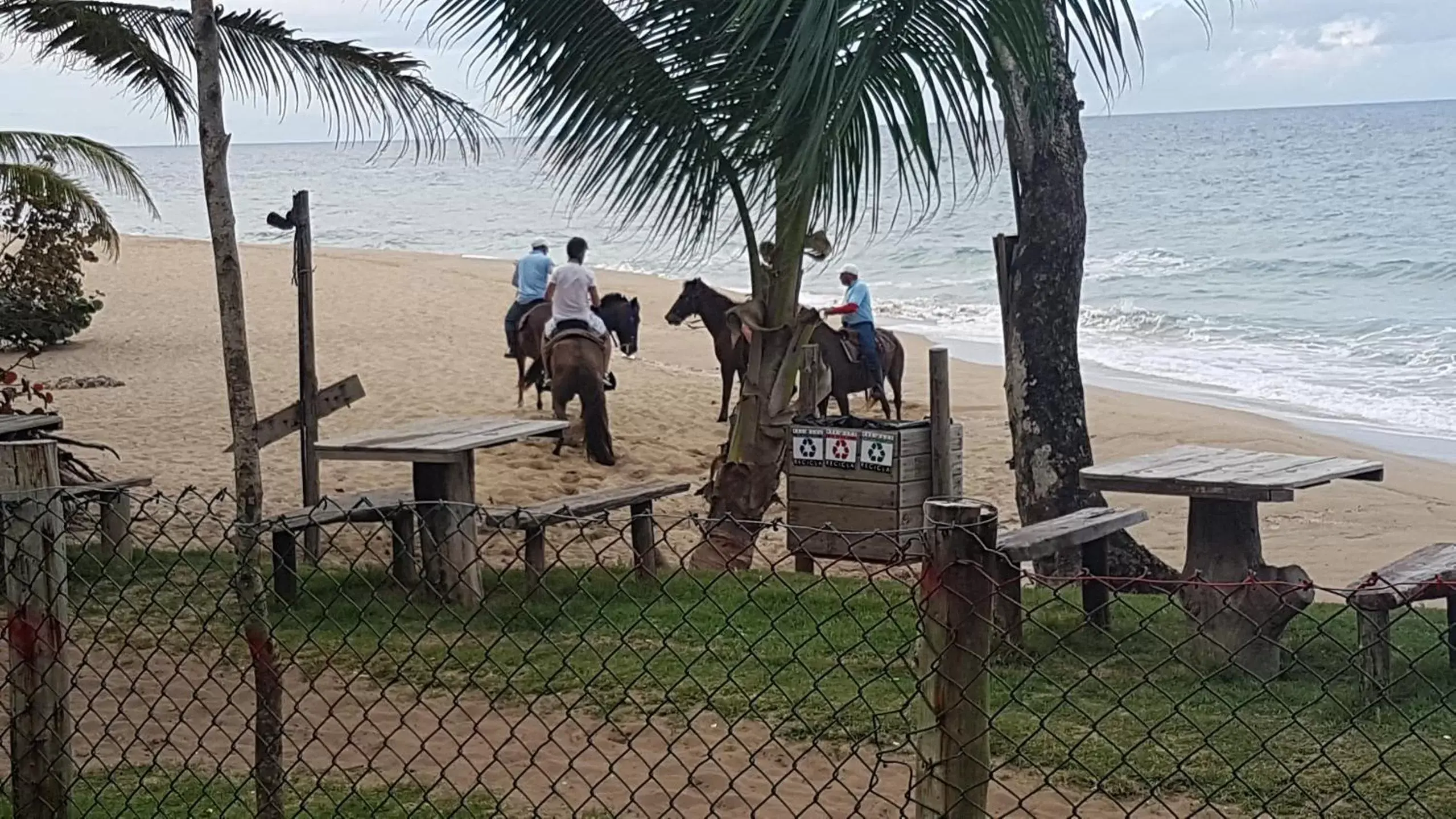 Horse-riding, Beach in Cabarete Maravilla Eco Lodge Boutique Beach Surf & Kite