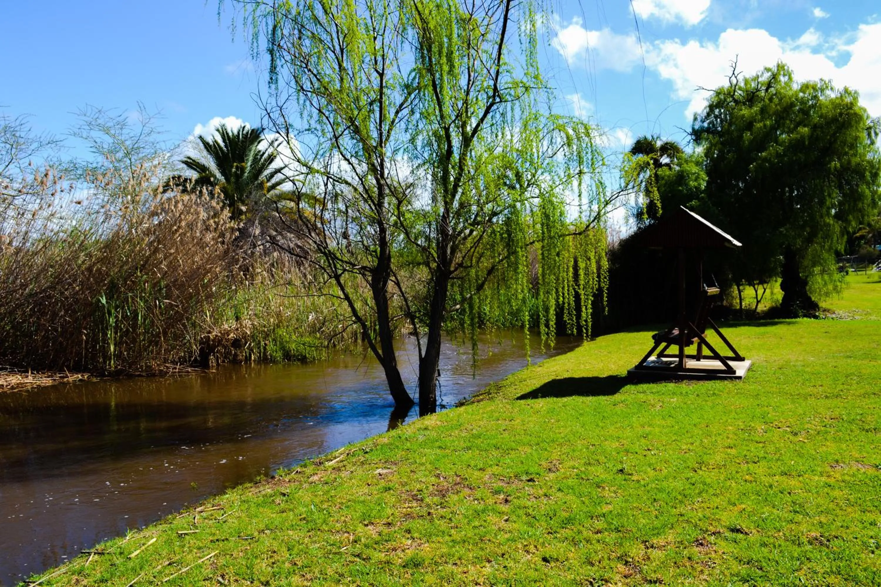 Natural landscape in Riverside Guest Lodge