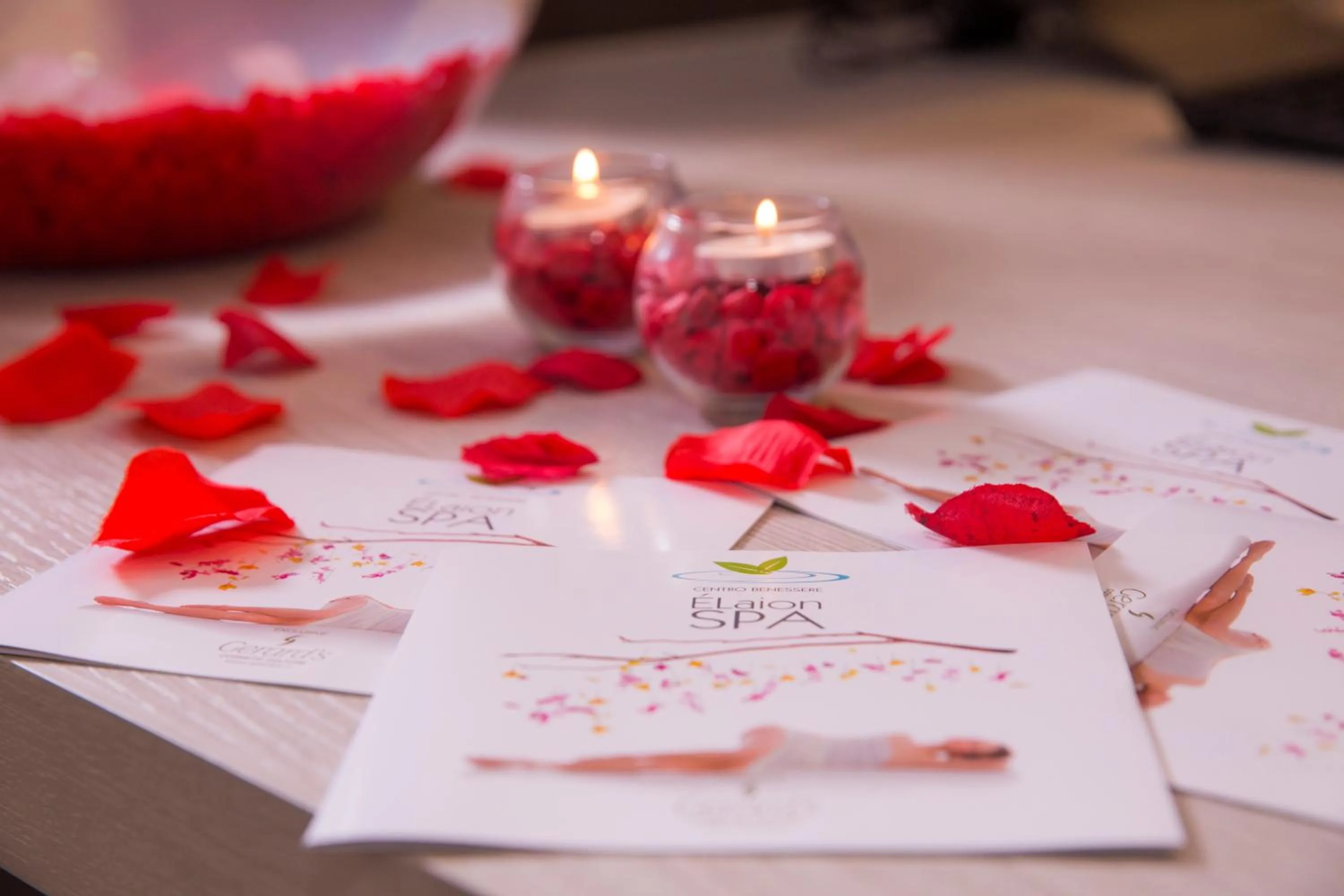 Area and facilities in Hotel Degli Ulivi