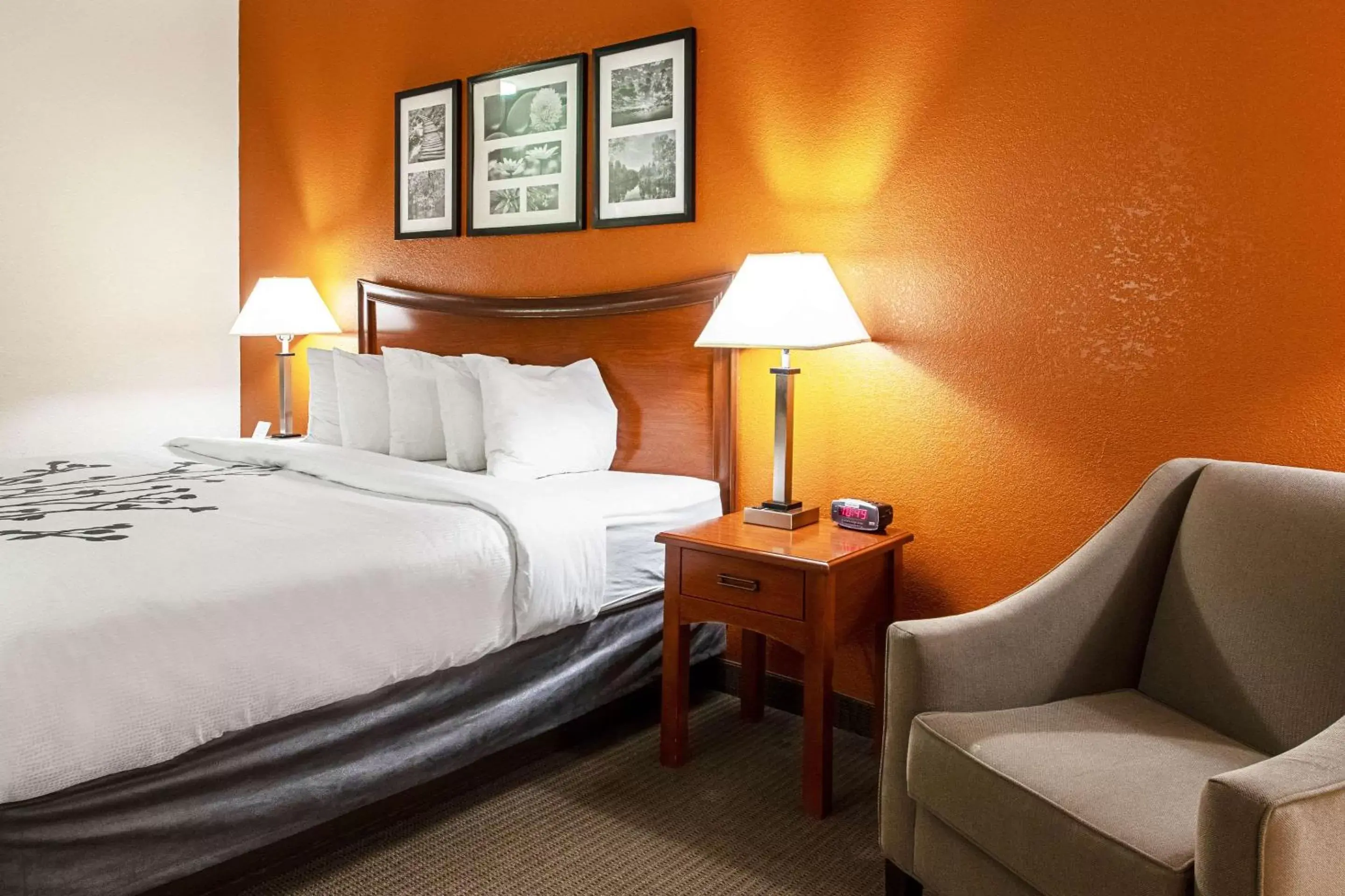 Photo of the whole room, Bed in Sleep Inn & Suites Hobbs Photo of the whole room, Bed in Sleep Inn & Suites Hobbs