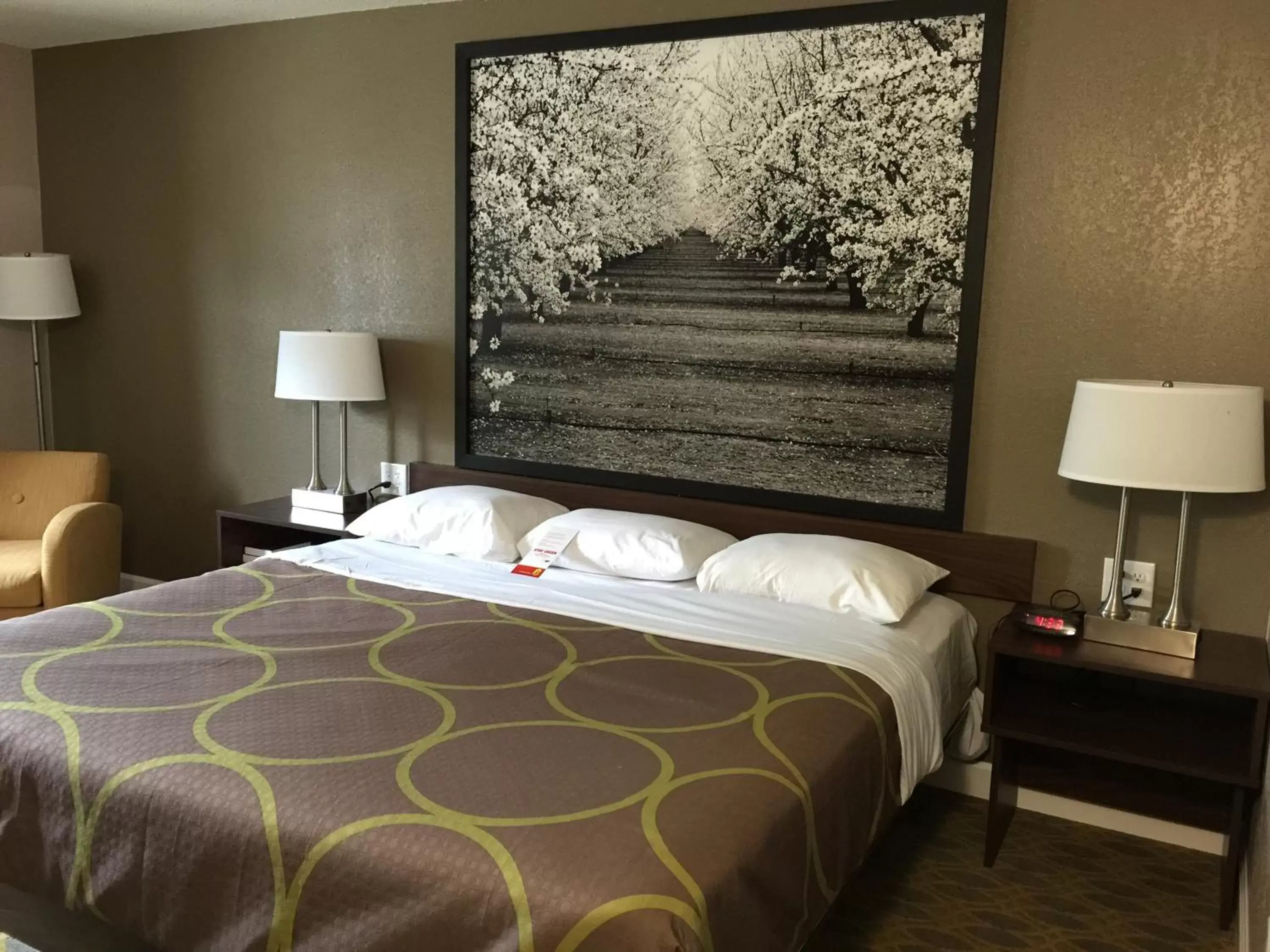 1 Queen Bed, Mobility Accessible Room, Bathtub w/ Grab Bars, Non-Smoking in Super 8 by Wyndham Willows