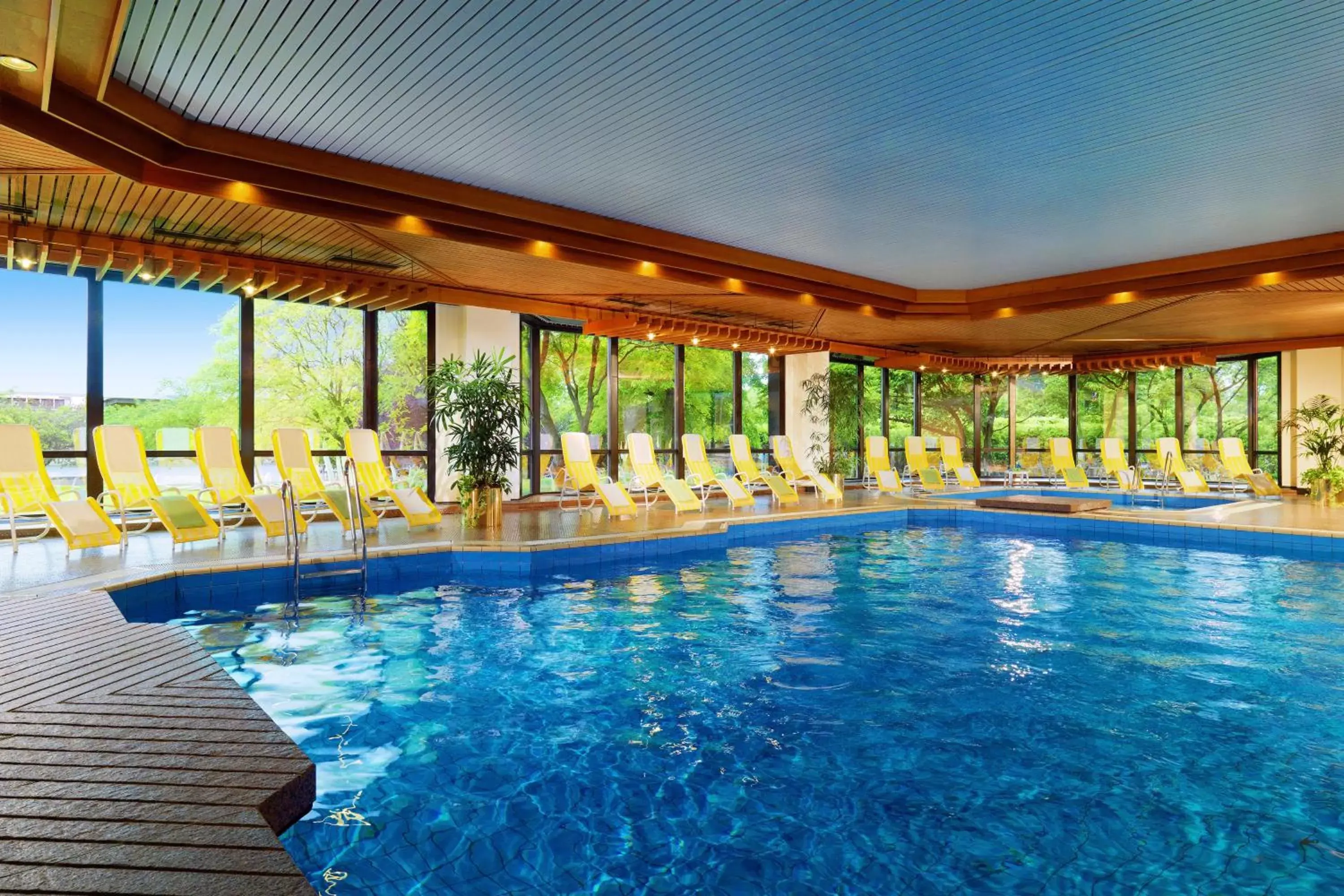 Fitness centre/facilities, Swimming Pool in Bilderberg Bellevue Hotel Dresden