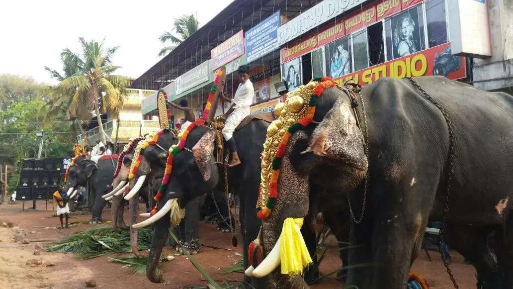 Property building in Anandan Tourist Home
