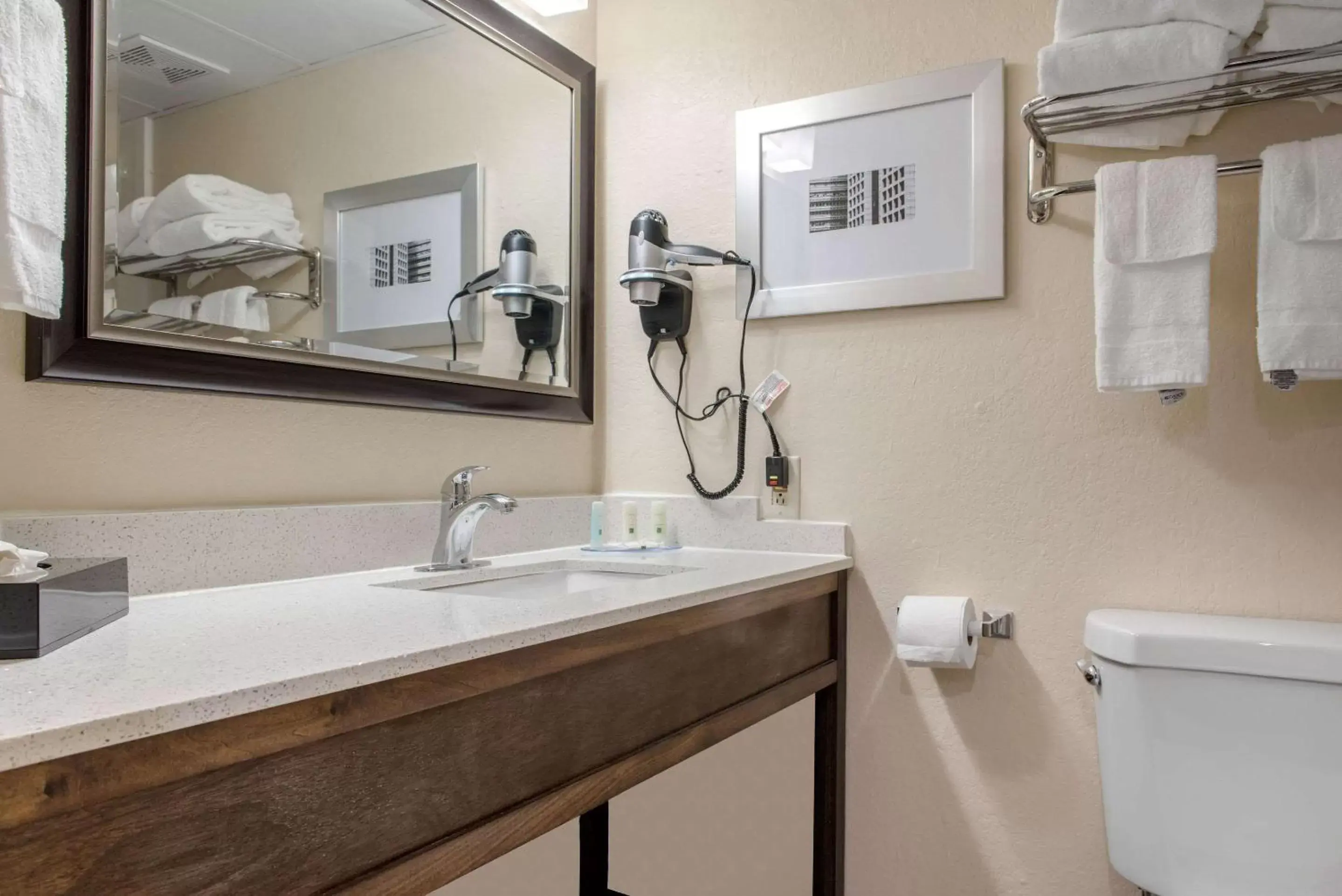 Bedroom, Bathroom in Quality Inn and Conference Center Richmond