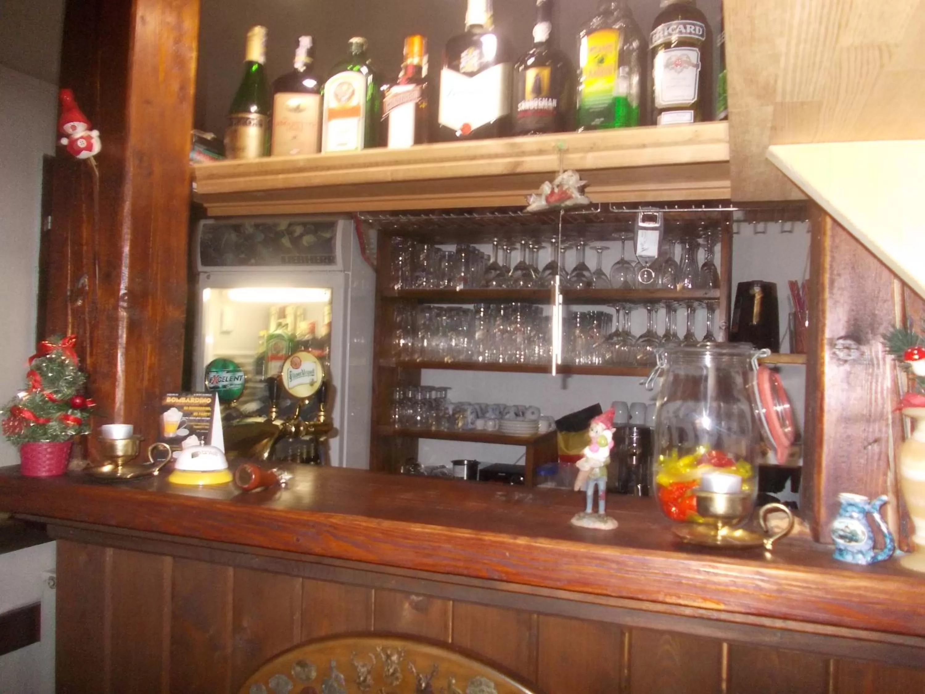 Lounge or bar in Pension U Jelinka