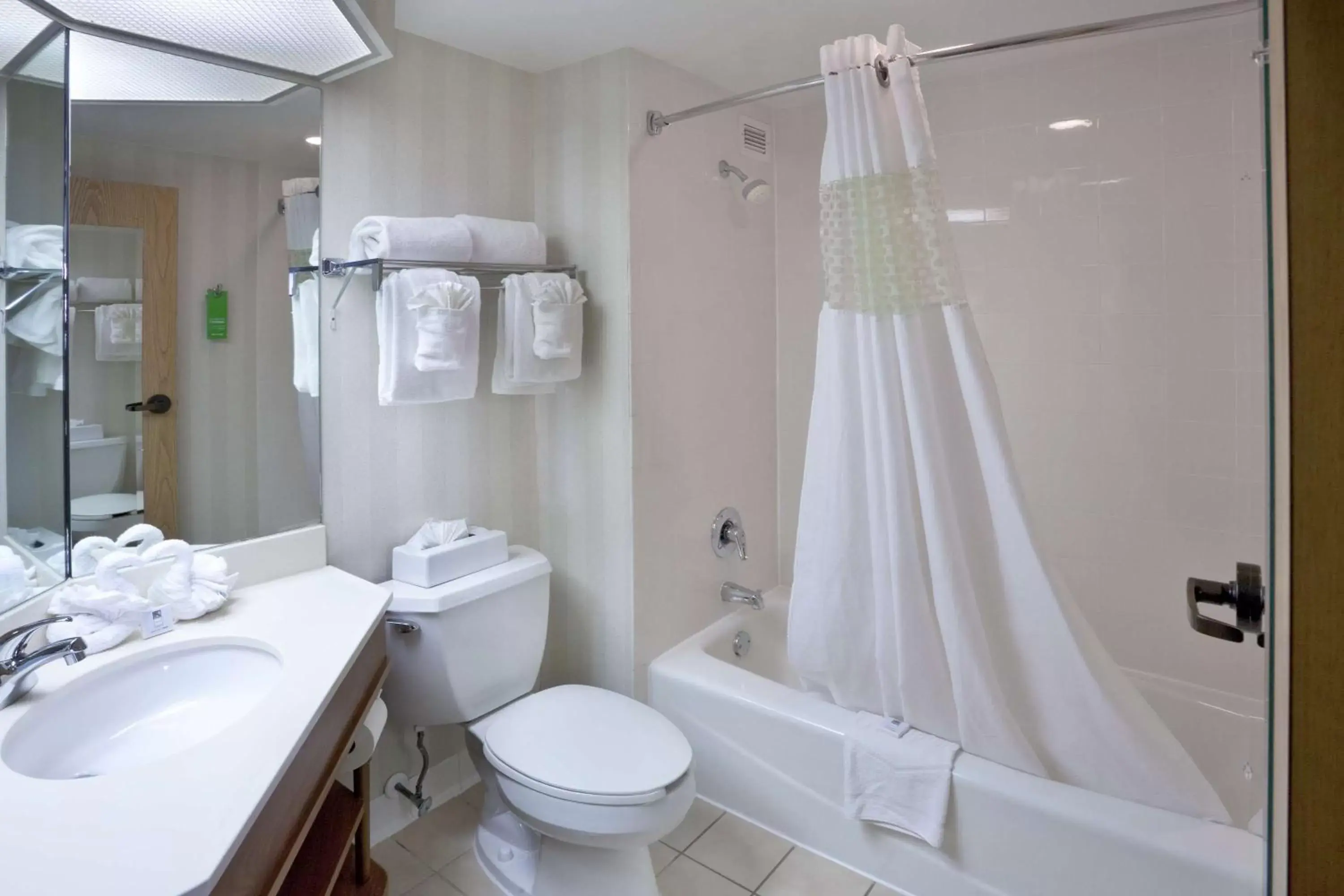 Bathroom in Hampton Inn St Charles St Peters Bathroom in Hampton Inn St Charles St Peters