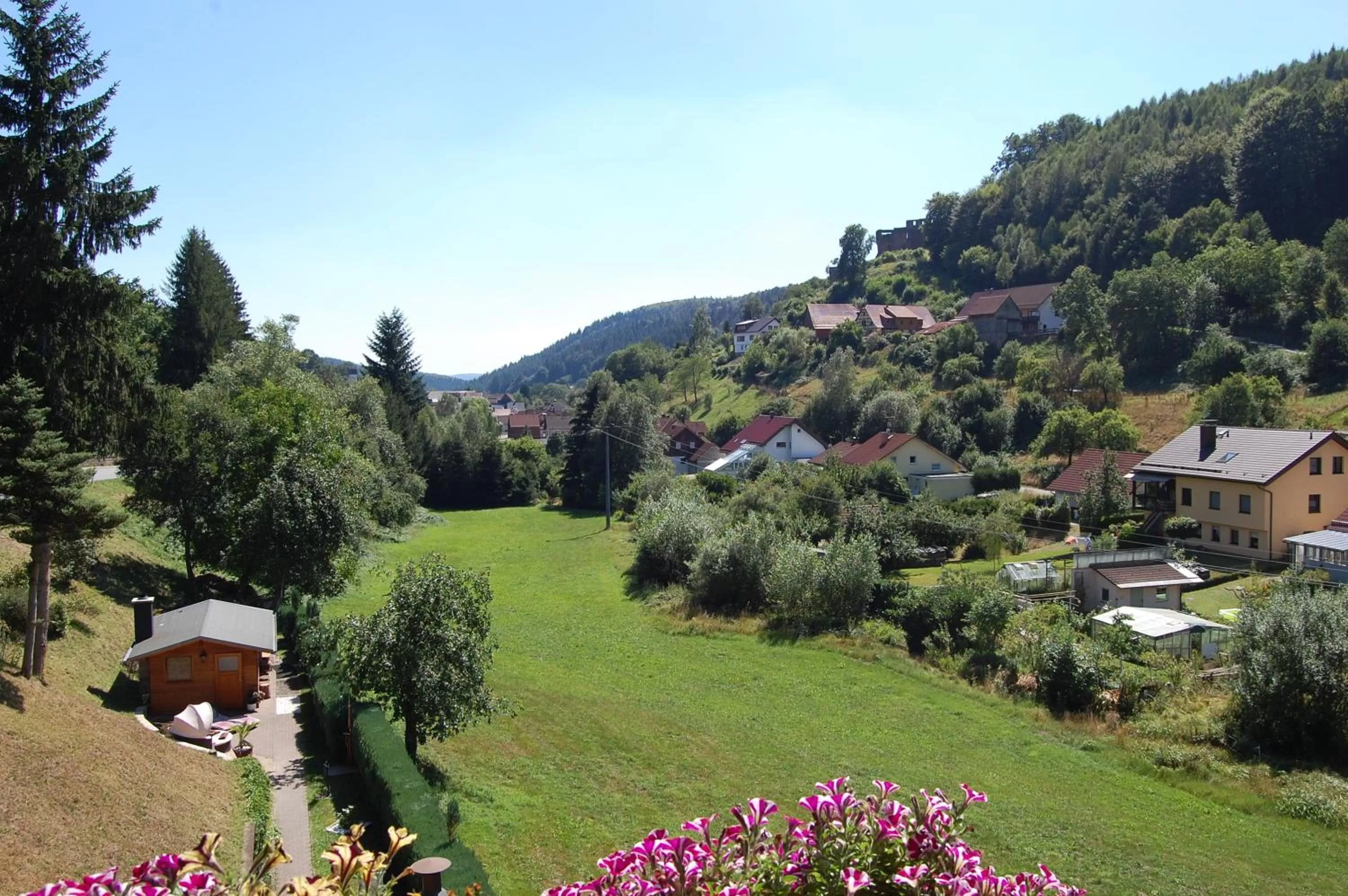 View (from property/room) in Hotel Grüner Baum mit Restaurant & Wellness
