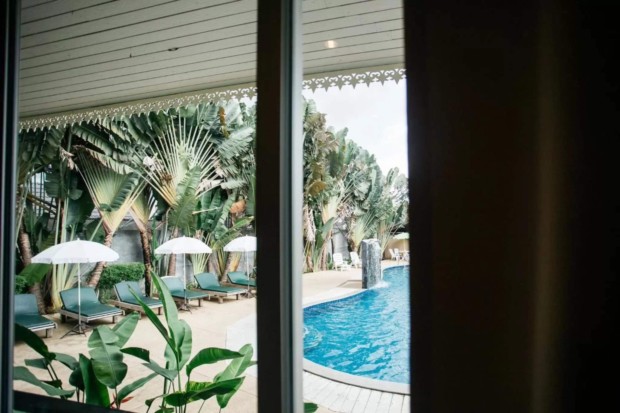 Pool view in Diamond Park Inn Chiangrai & Resort Pool view in Diamond Park Inn Chiangrai & Resort