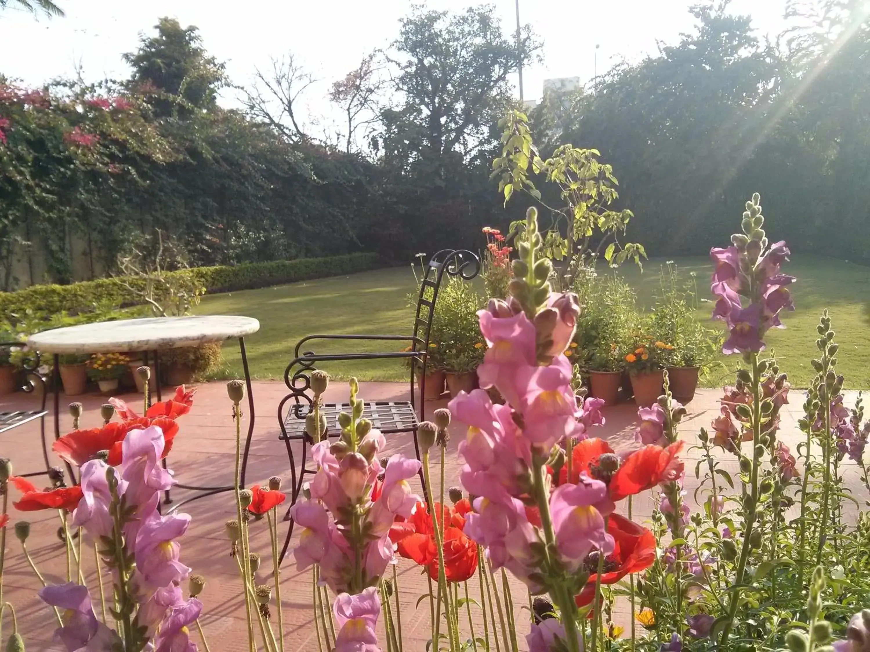 Garden in Hotel Jasvilas