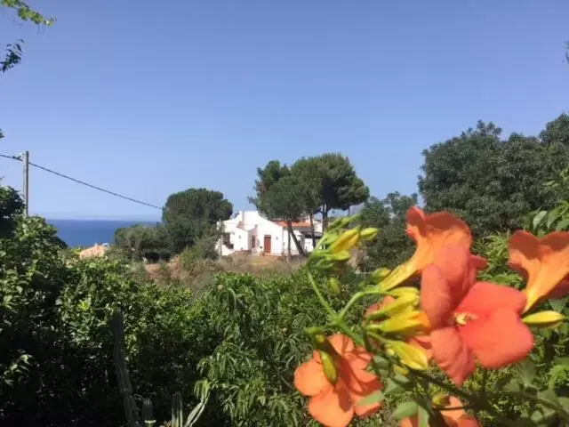 Stanza in Villa con giardino vista mare