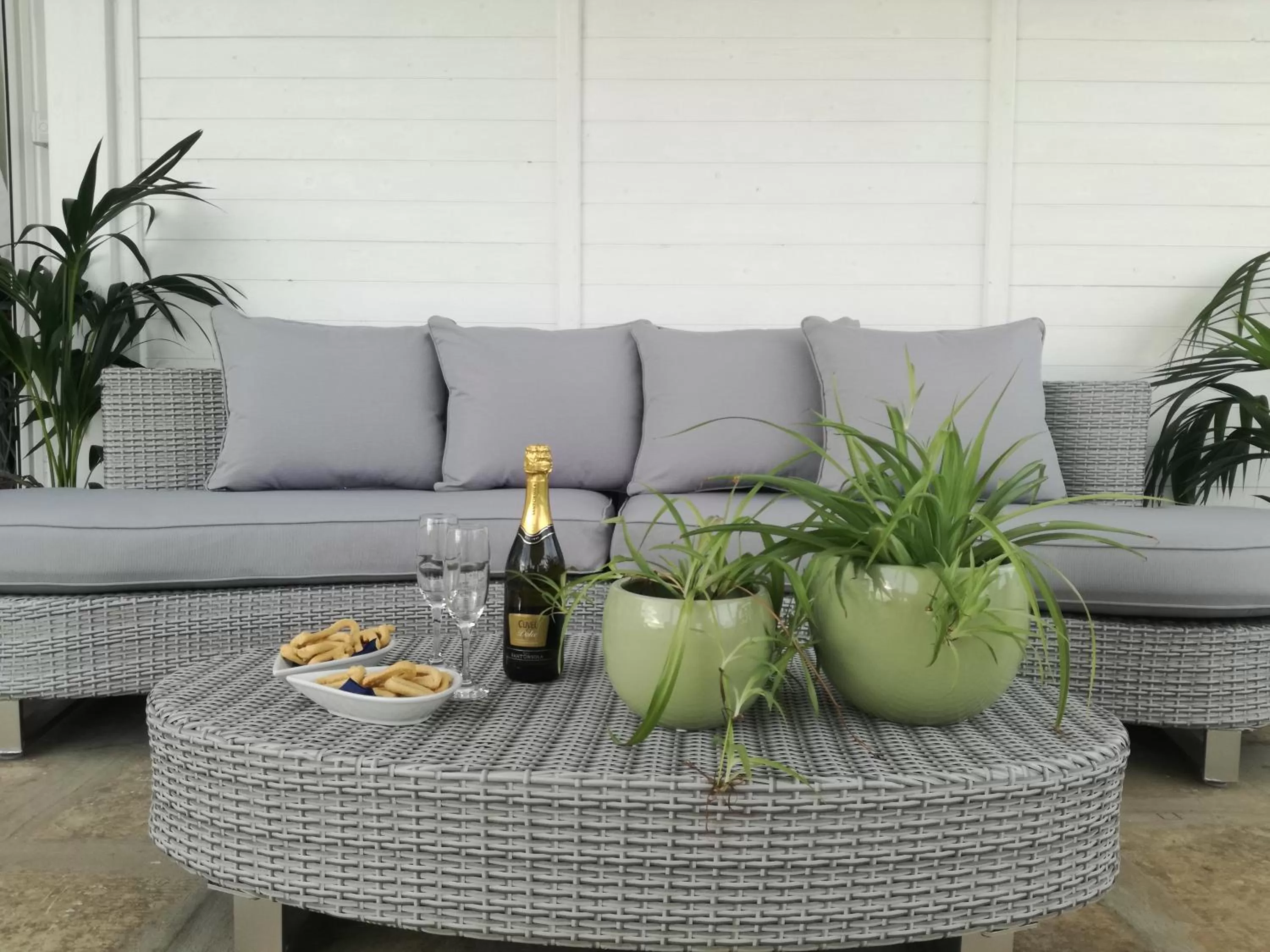 Patio in Casa del Corso