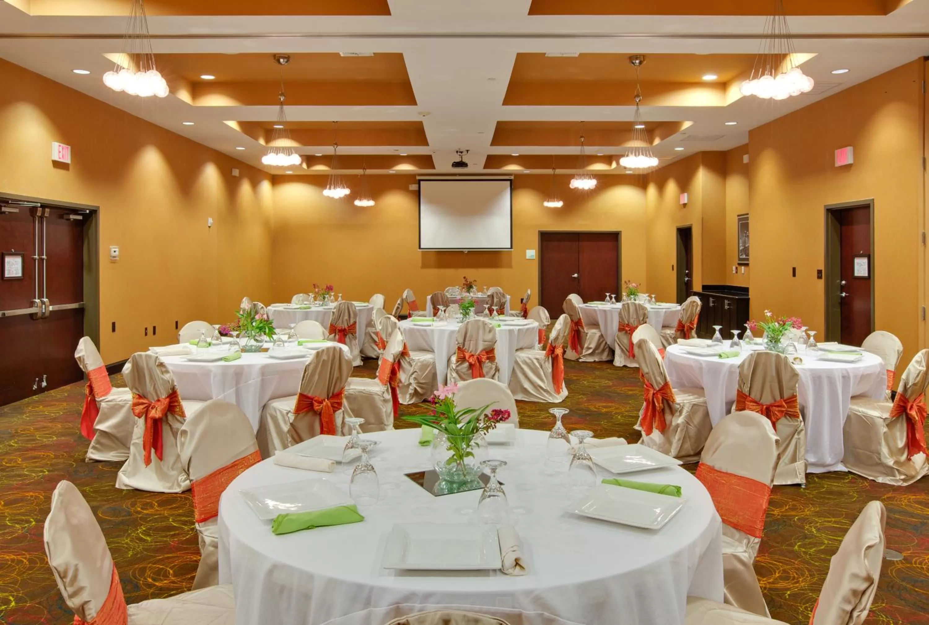 Banquet/Function facilities in Holiday Inn Houston East-Channelview by IHG