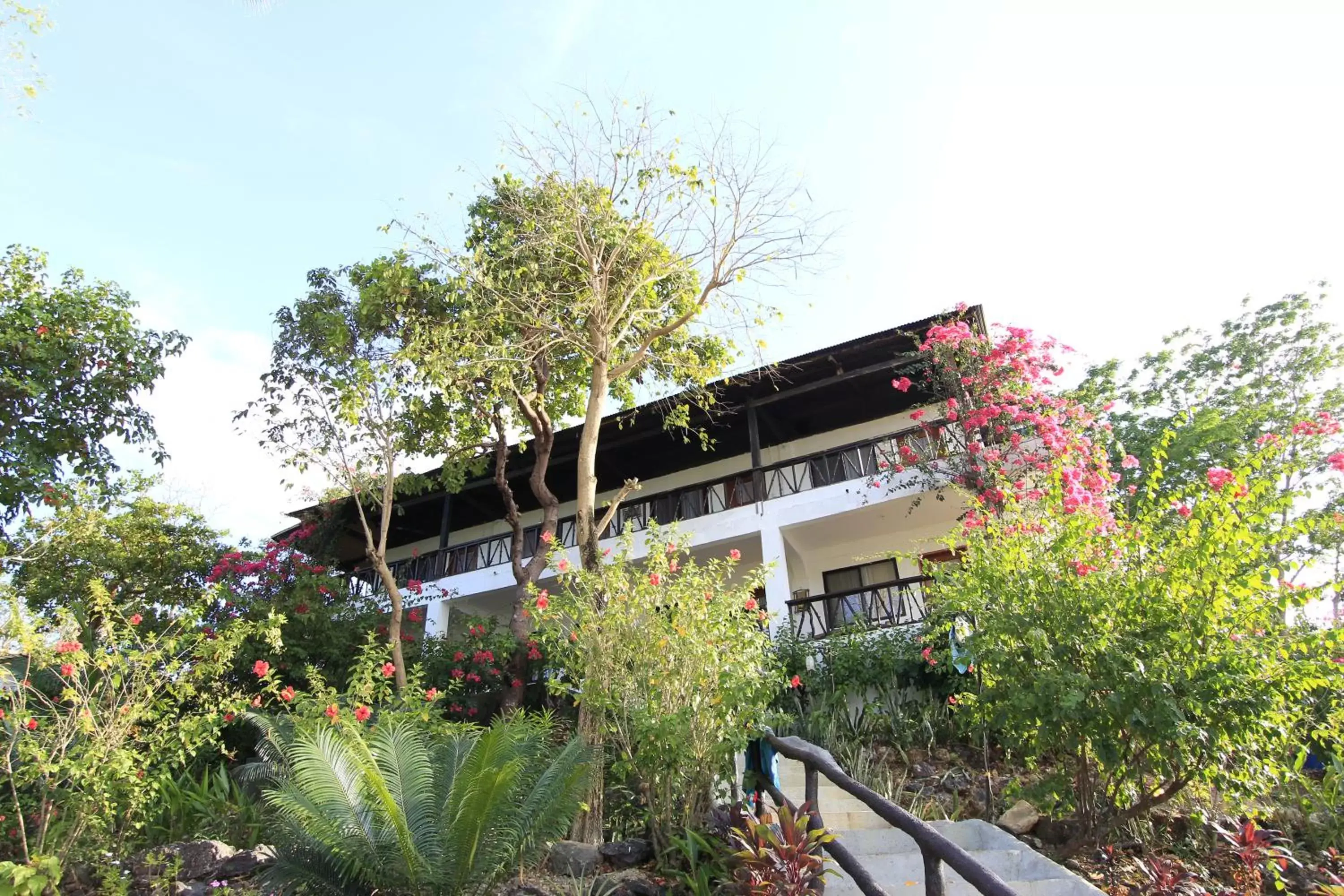 Property Building in Discovery Island Resort