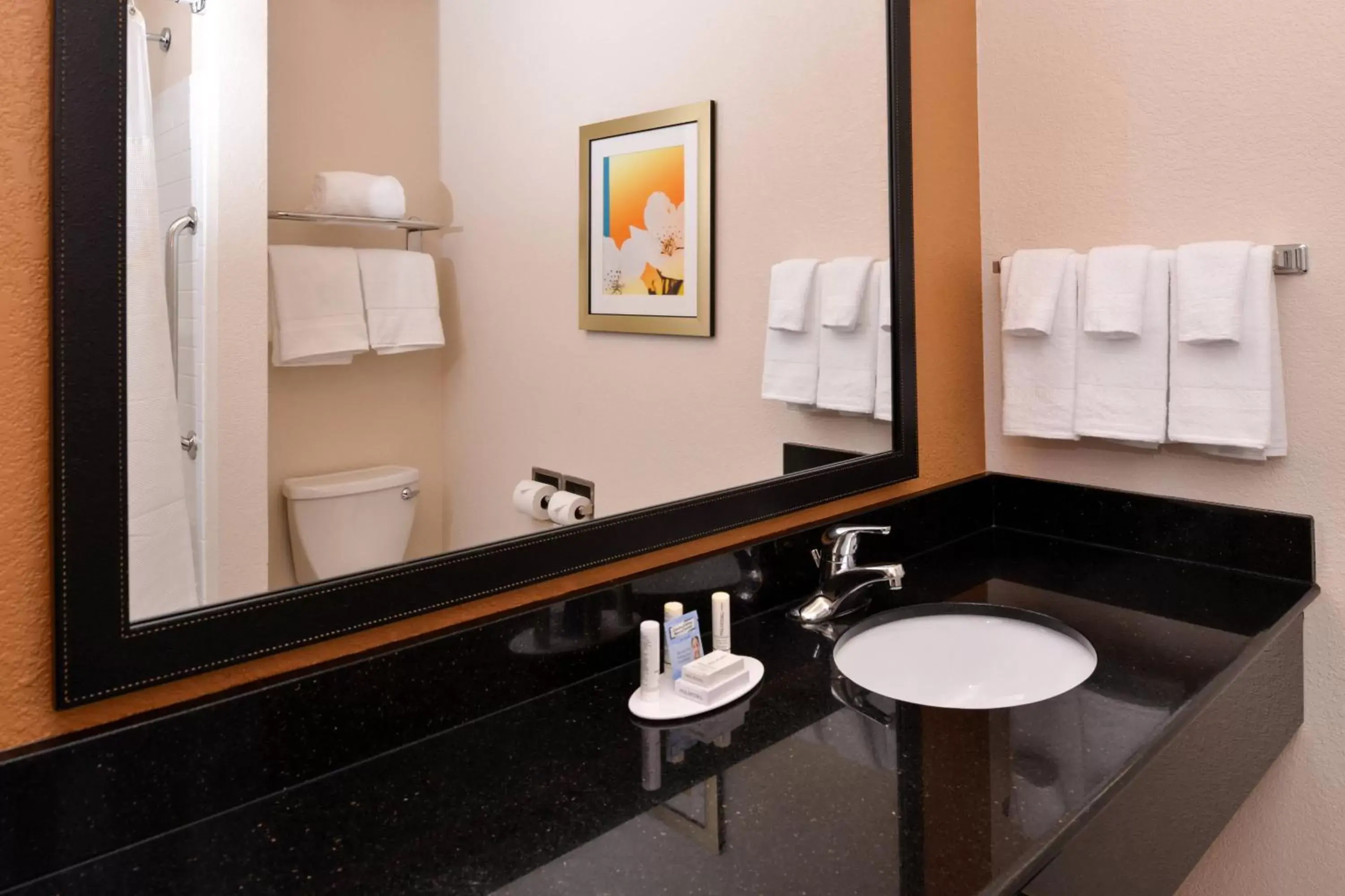 Bathroom in Fairfield Inn and Suites by Marriott Fort Wayne