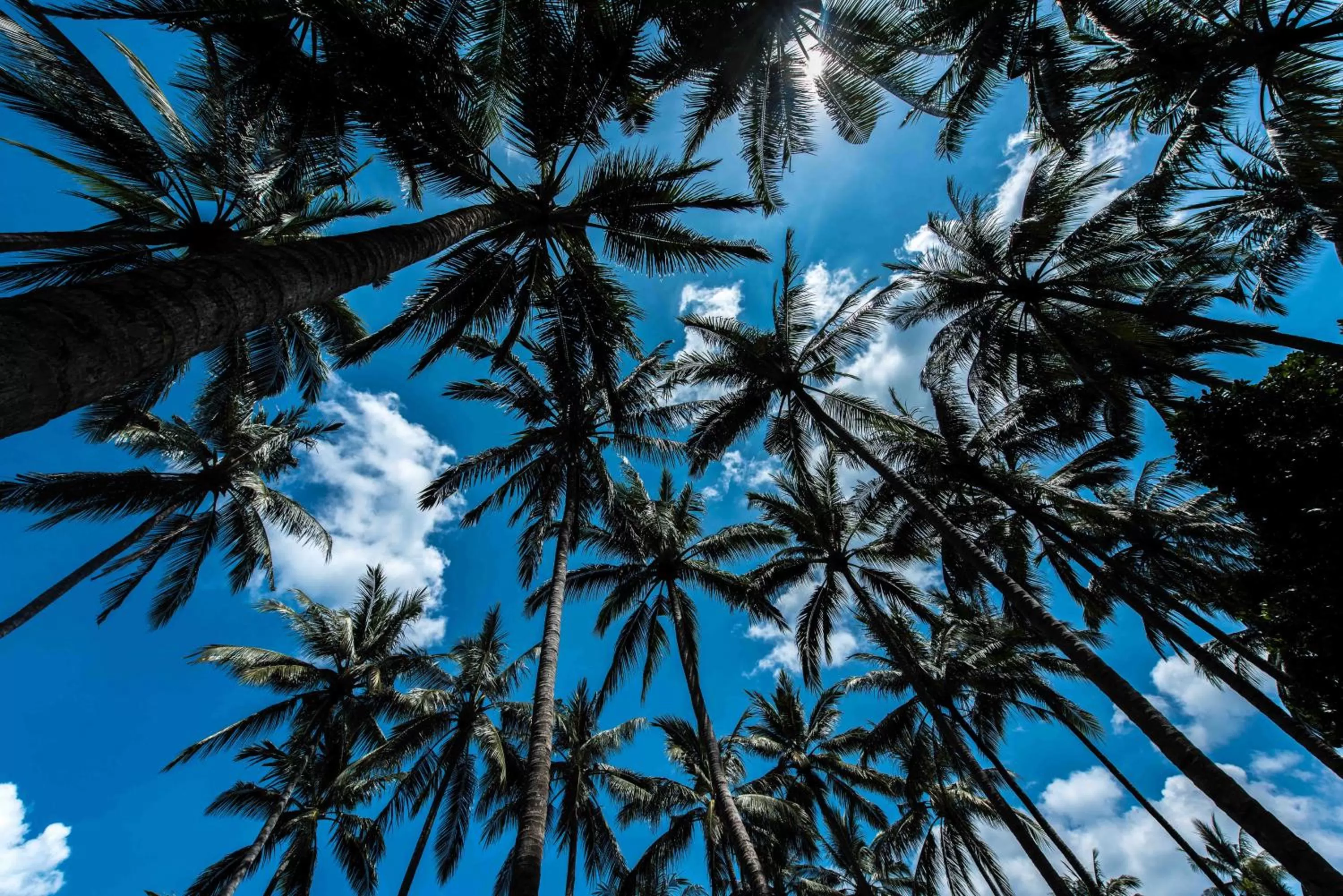 Natural landscape in The Chandi Boutique Resort & Spa