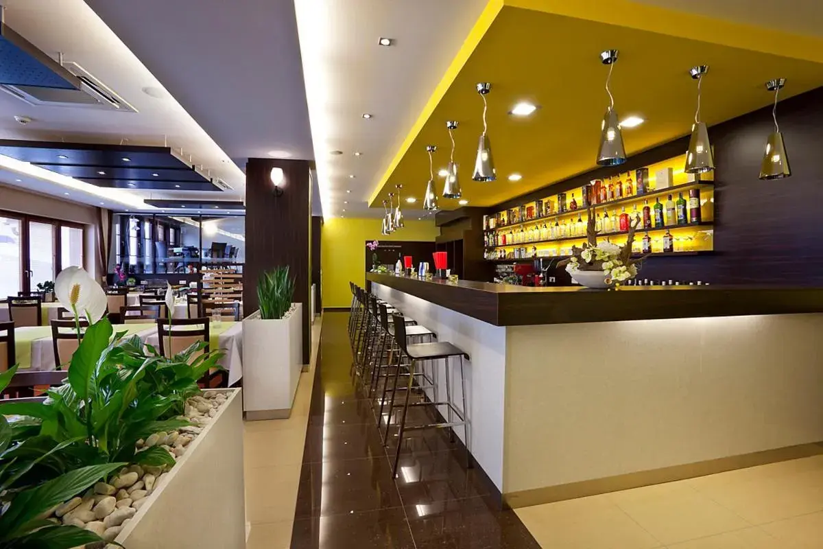 Restaurant/places to eat, Lounge/Bar in Hotel Viktor