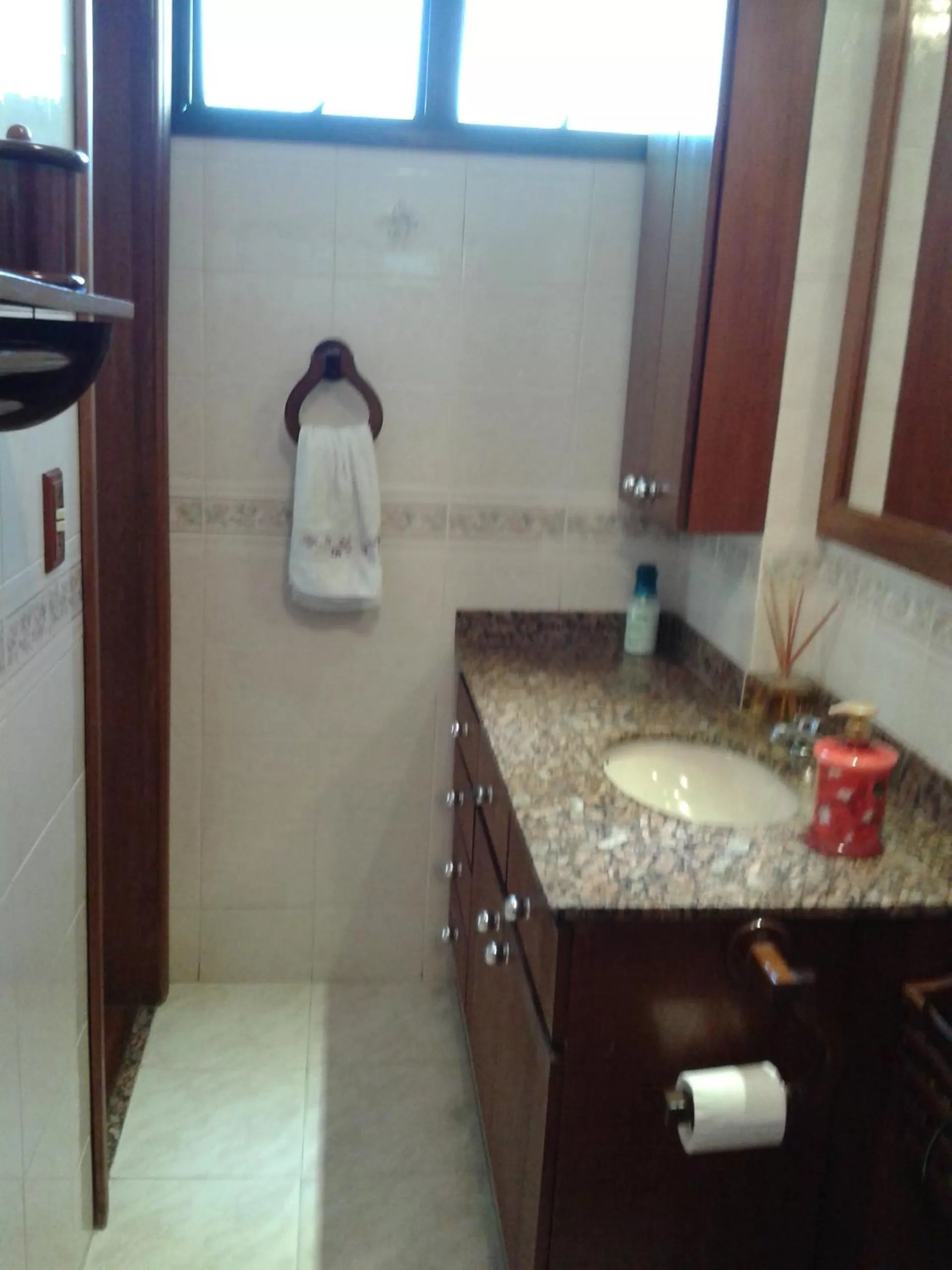 Bathroom in Hosts in Rio Homestay