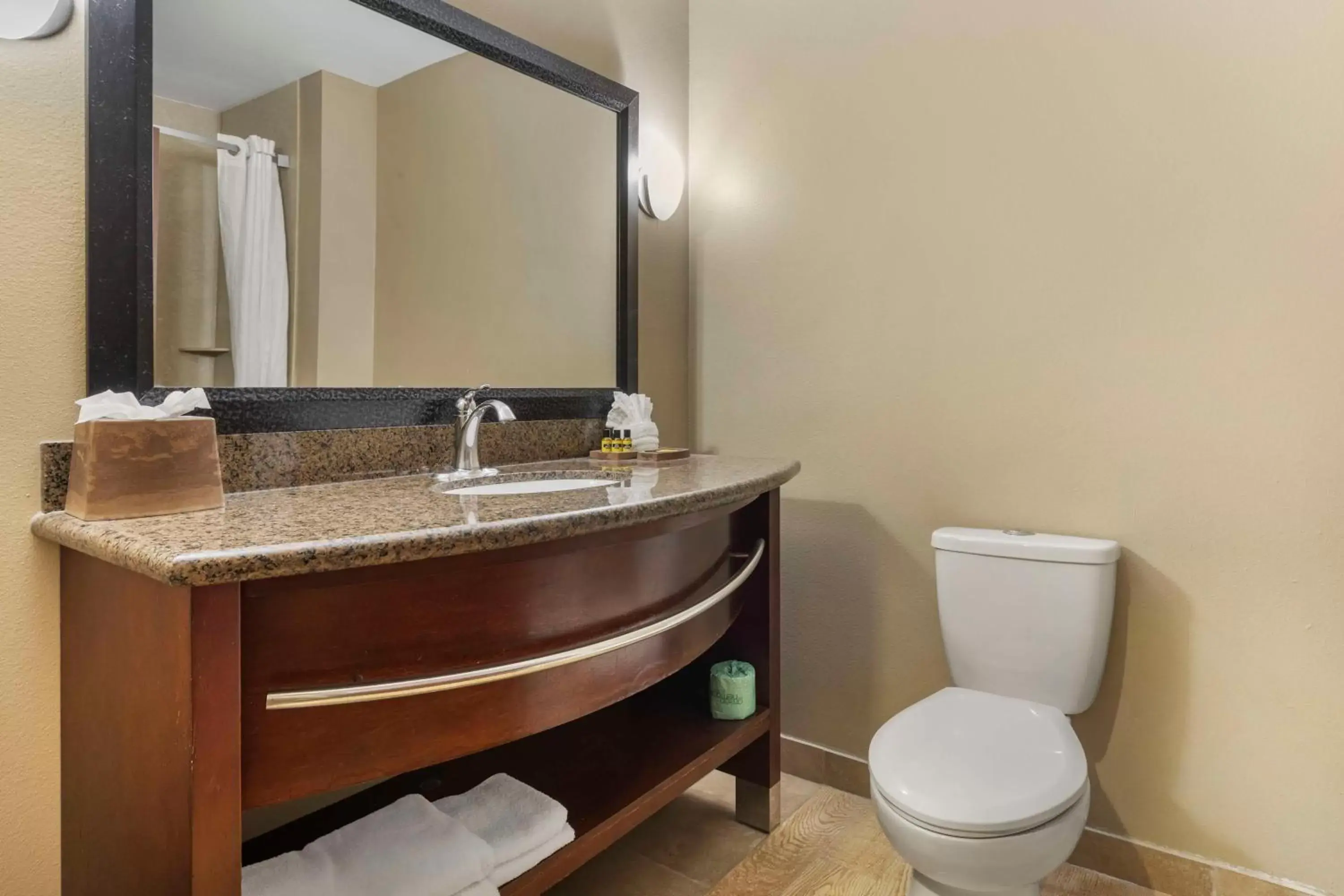 Bathroom in Best Western Plus Hotel and Suites Denison